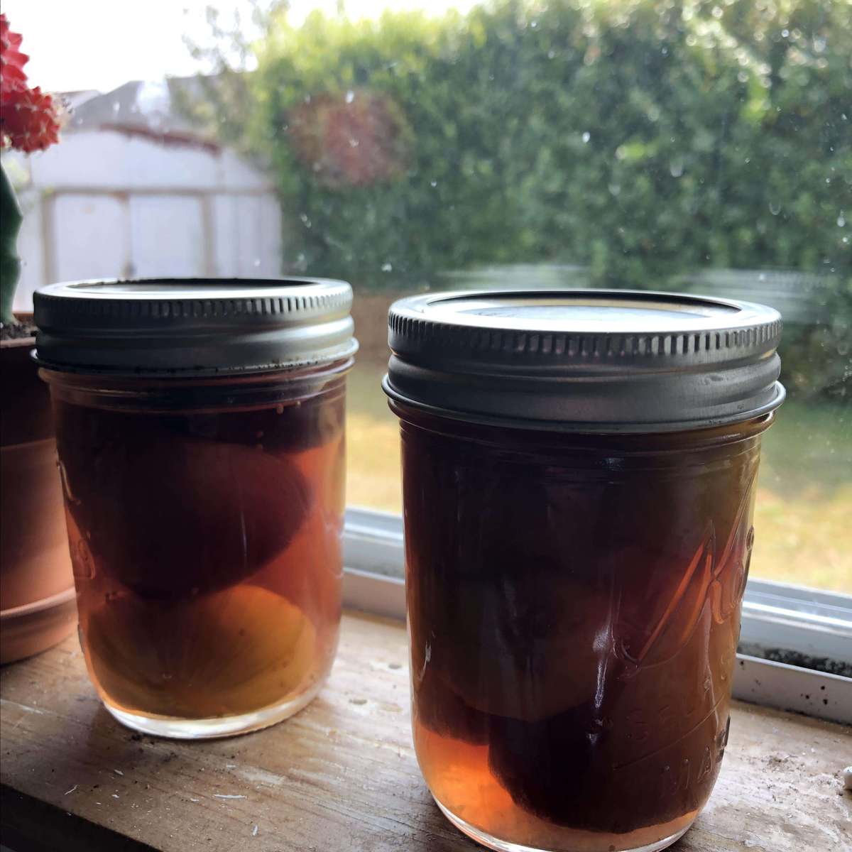 Homemade Fig Preserves Recipe
