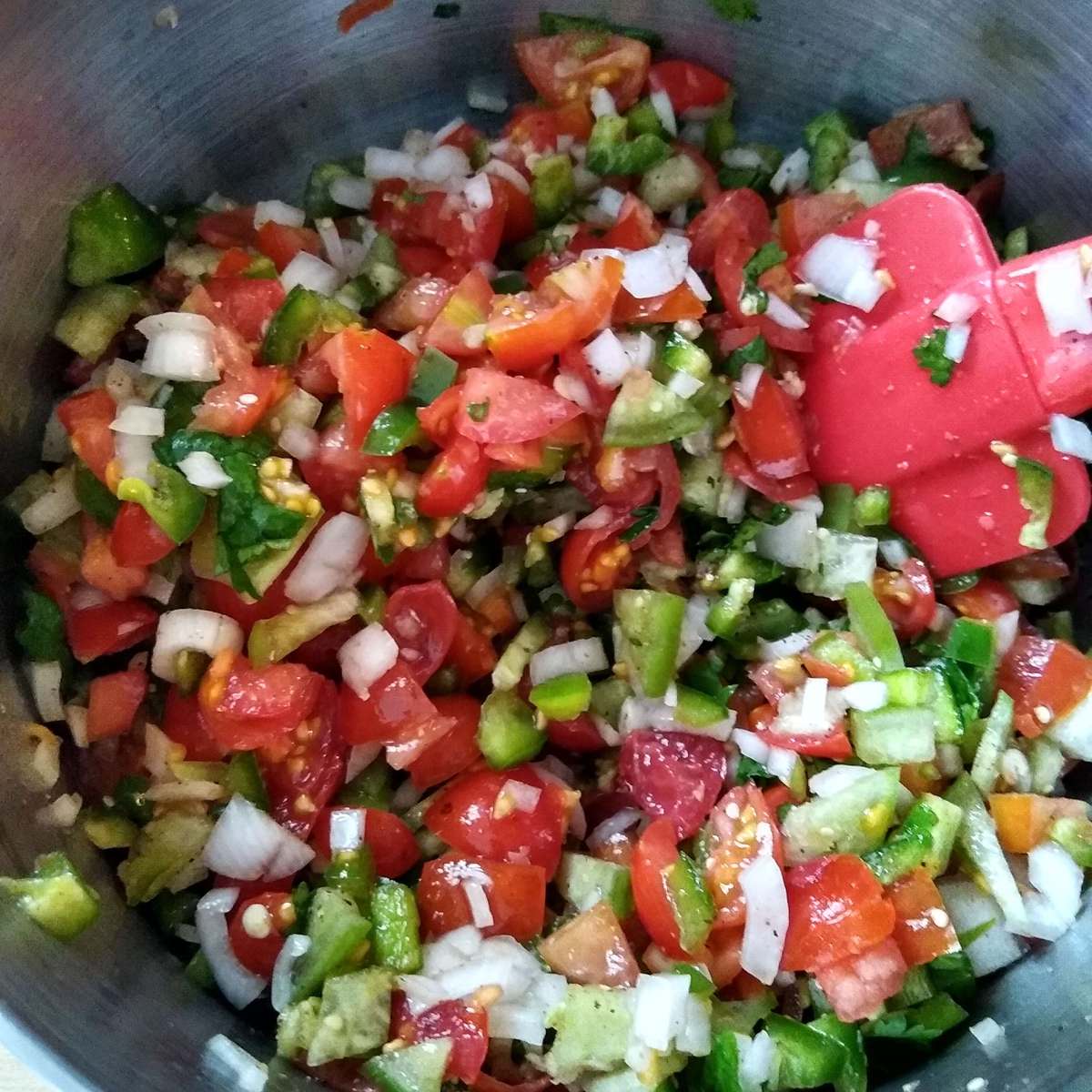 Easy Homemade Fresh Tomato Salsa Recipe