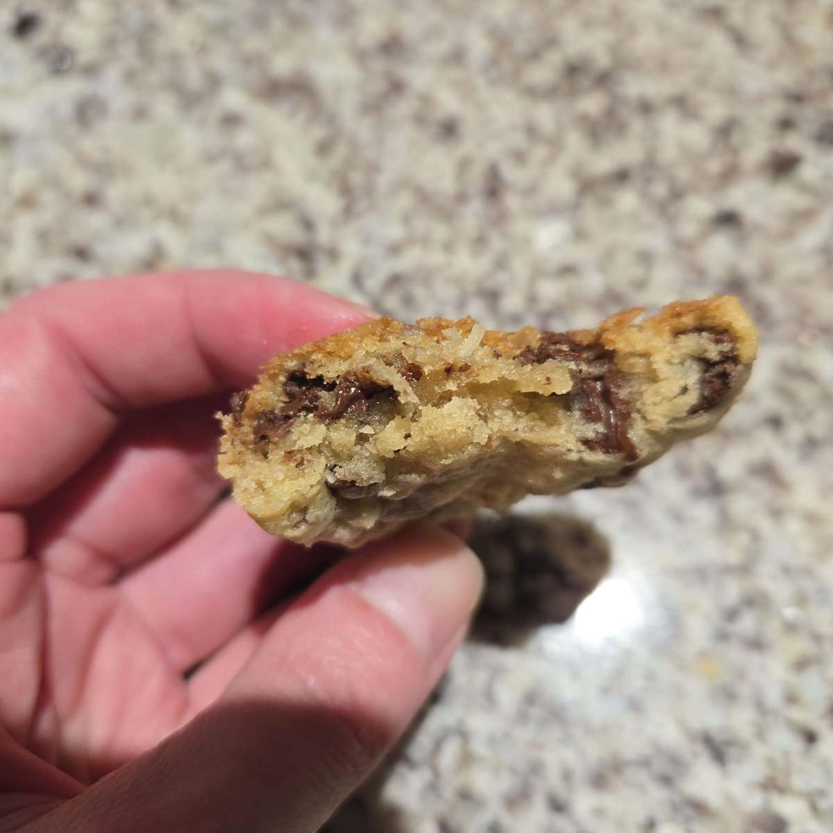 Pecan Coconut Chocolate Chip Cookies Recipe