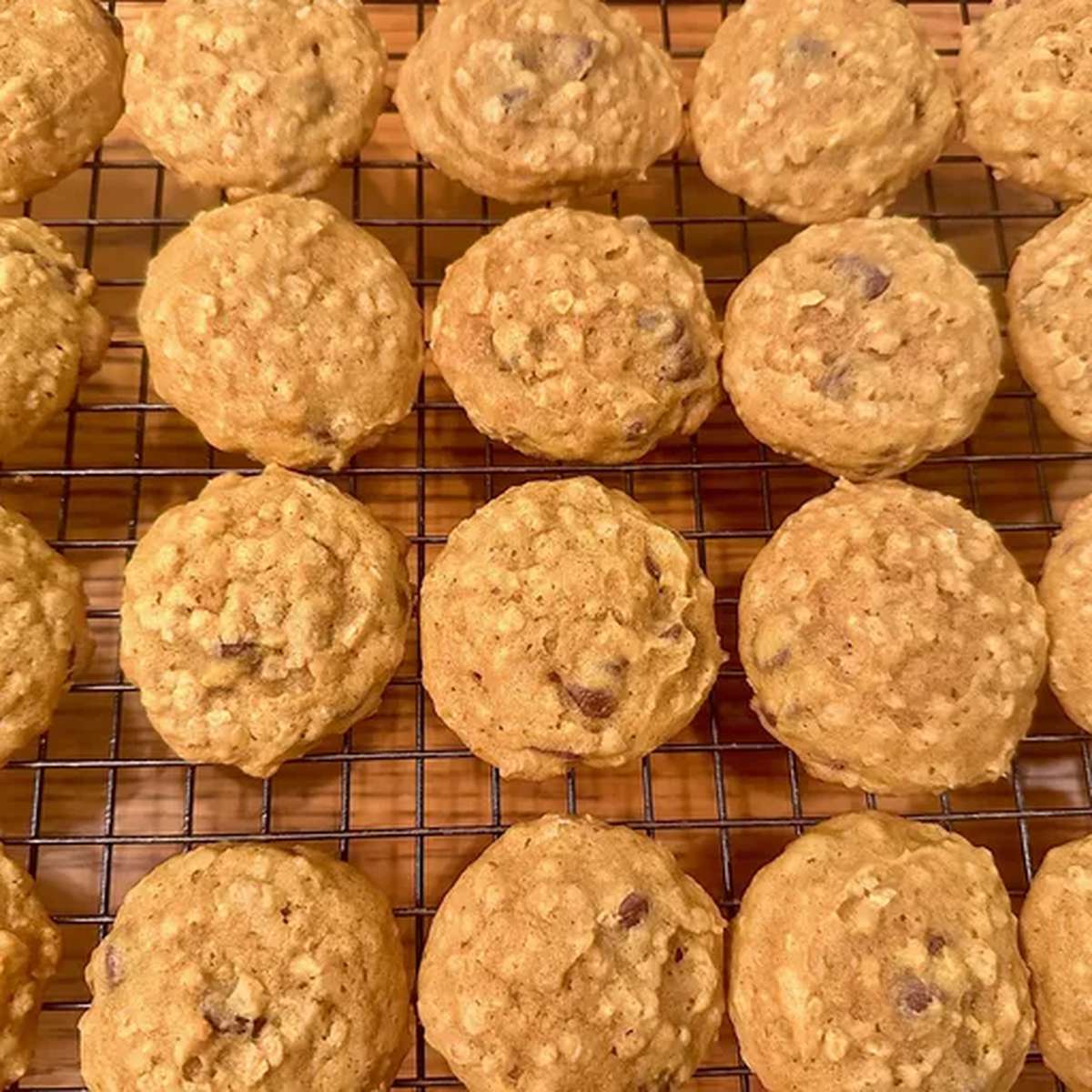 The Best Pumpkin Oatmeal Cookies Recipe
