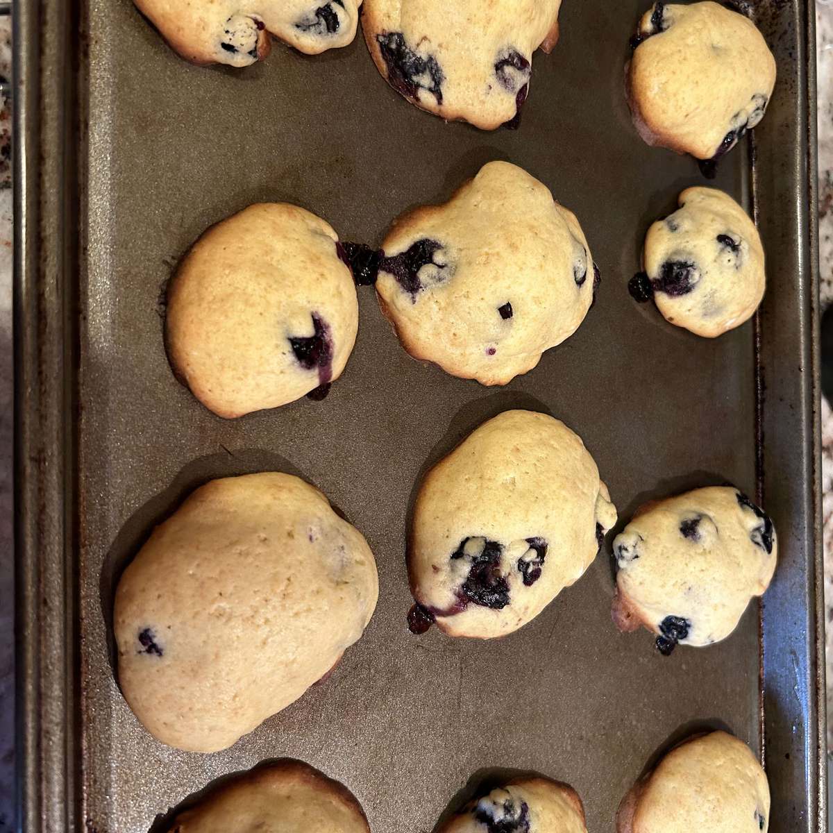 Easy Blueberry Cookies Recipe