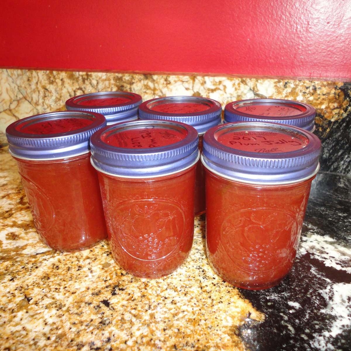 Homemade Plum Jelly Recipe