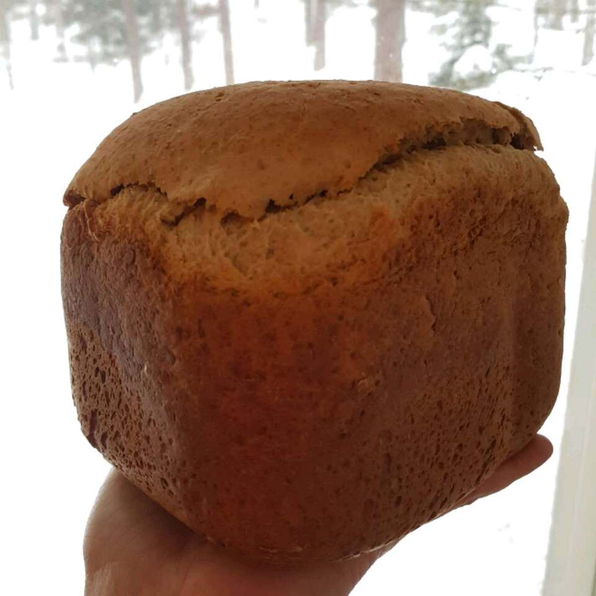 Easy Bread Machine Honey Oat Wheat Bread Recipe