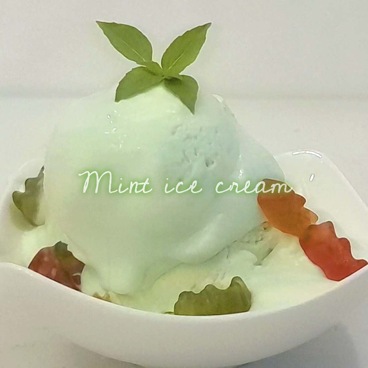 Mint Chocolate Chip Ice Cream Recipe: Easy Homemade Dessert