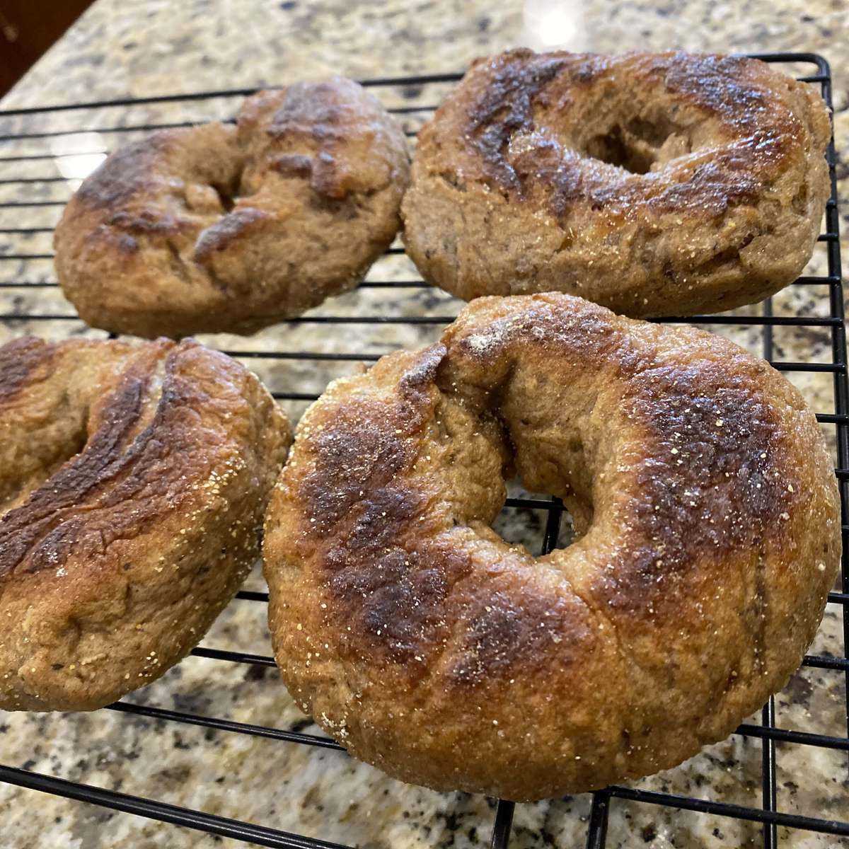 Homemade Multigrain Bagel Recipe