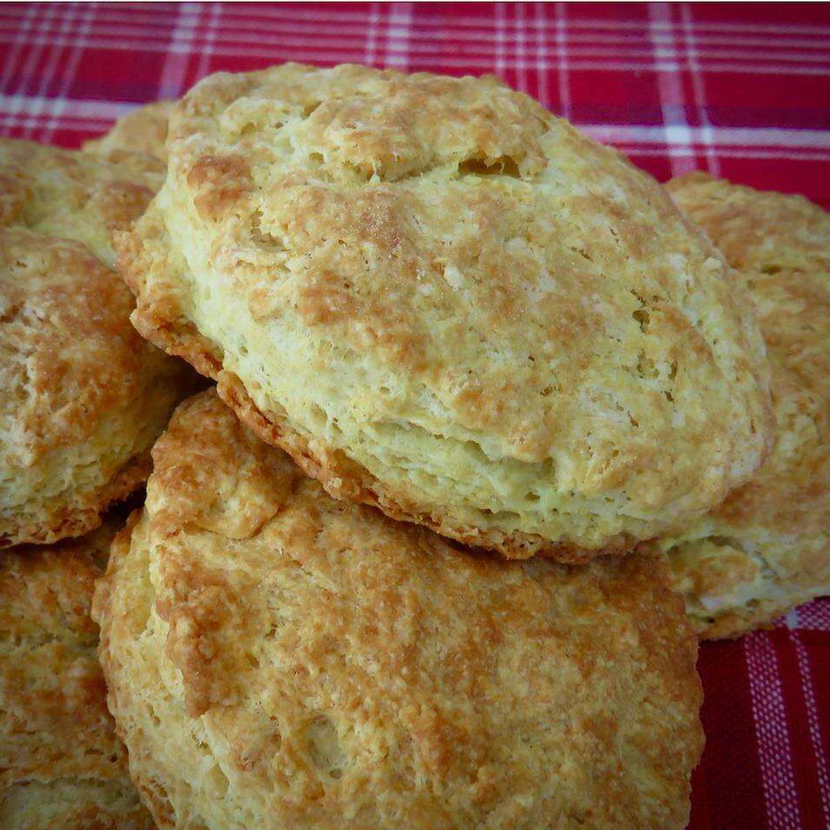 Easy Buttermilk Biscuits Recipe: Award-Winning & Flaky