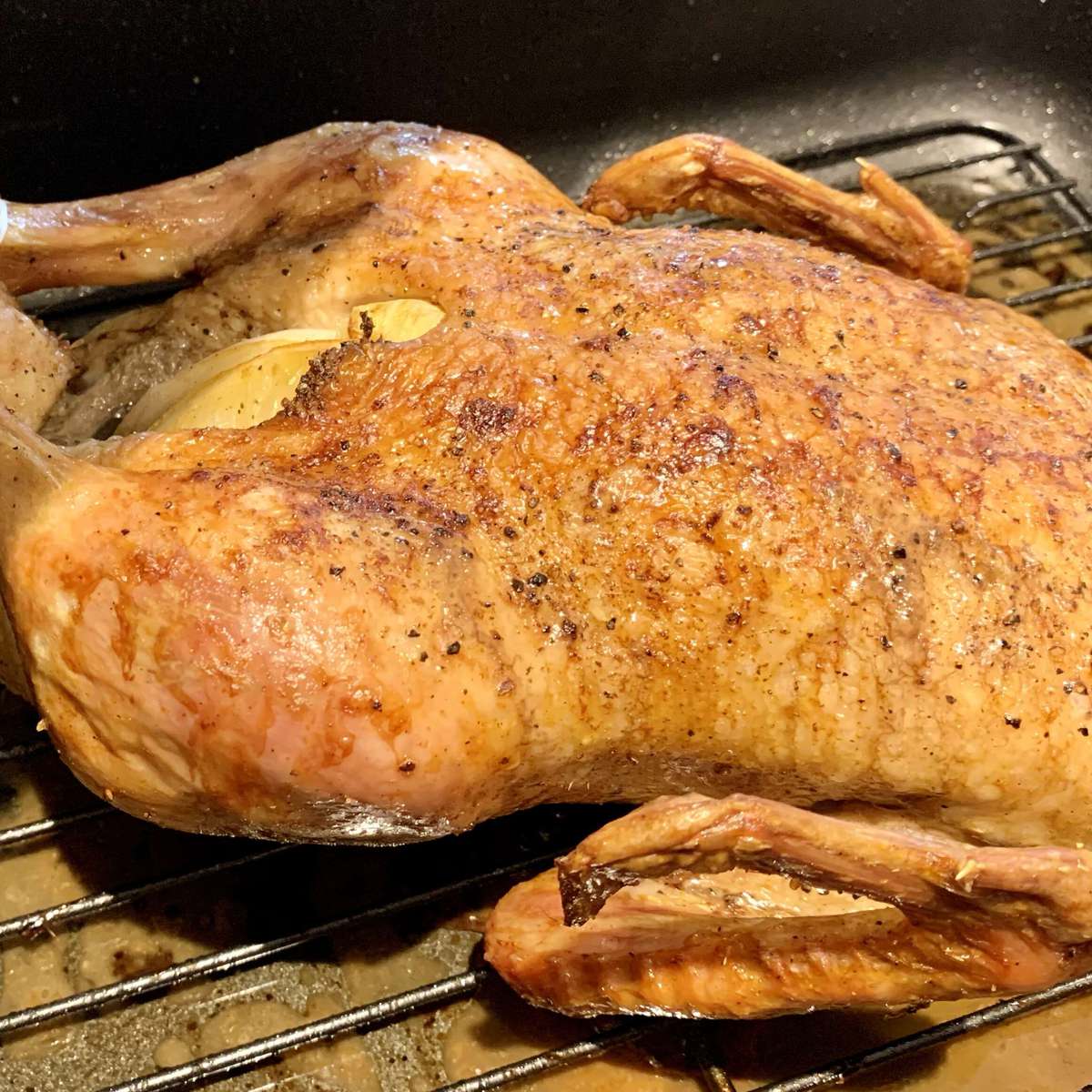 Perfectly Roasted Duck Recipe