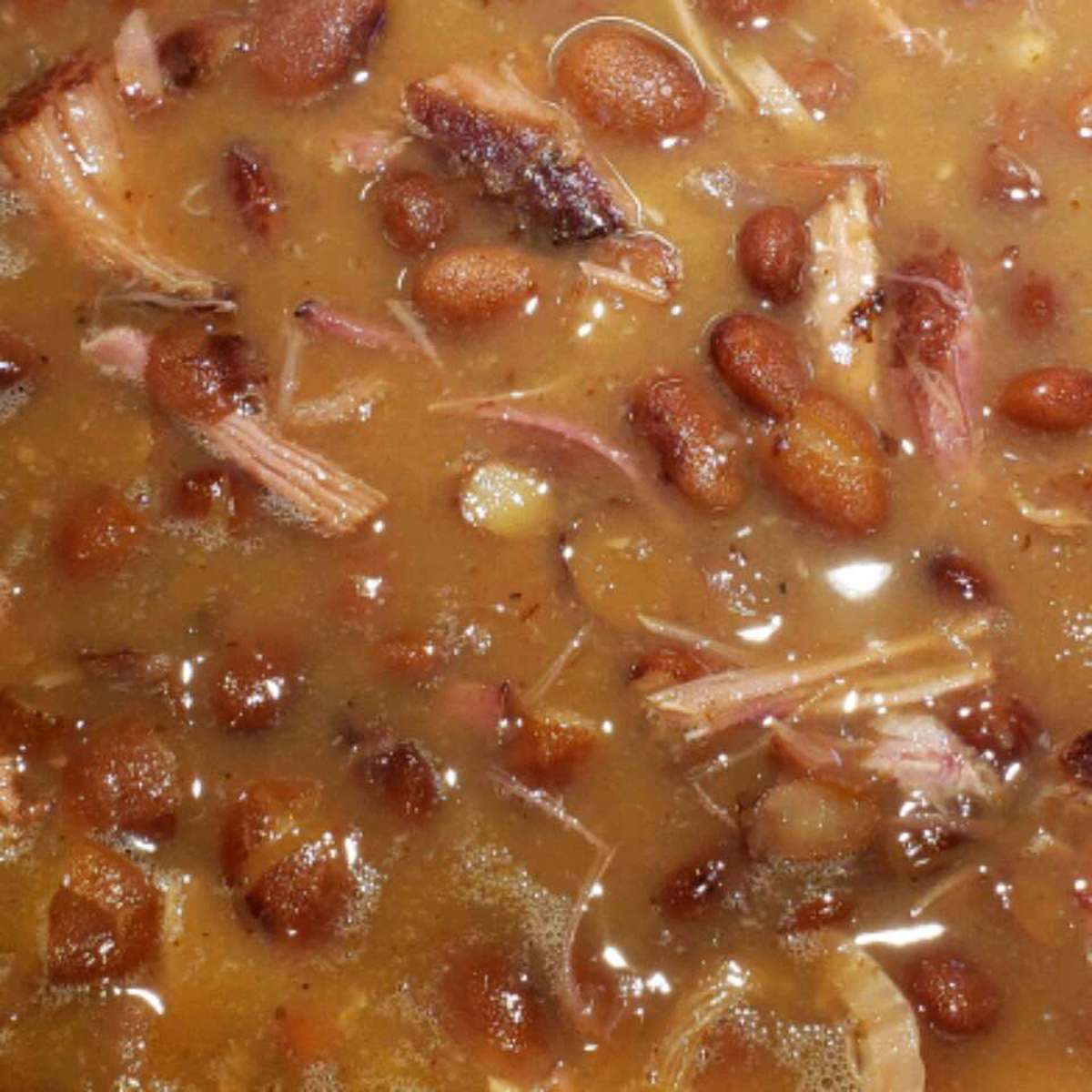 Southern Ham and Pinto Beans Recipe