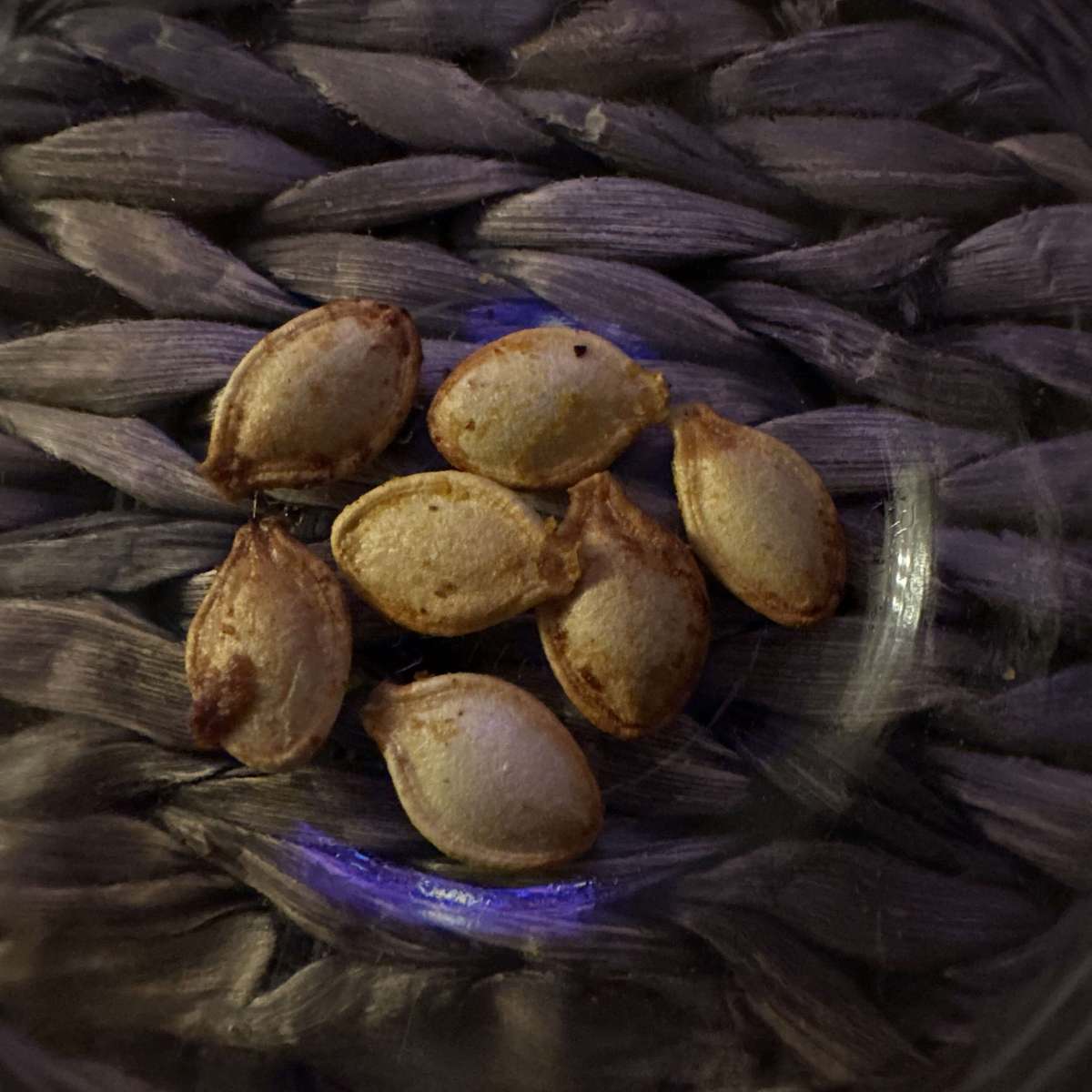 Crispy Air Fryer Pumpkin Seeds Recipe