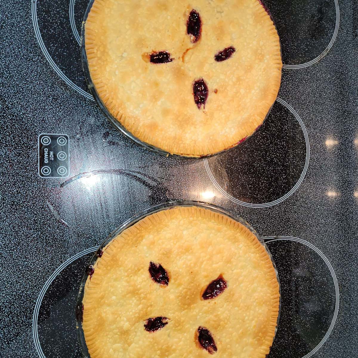 Saskatoon Rhubarb Pie Recipe: A Delicious Summer Treat