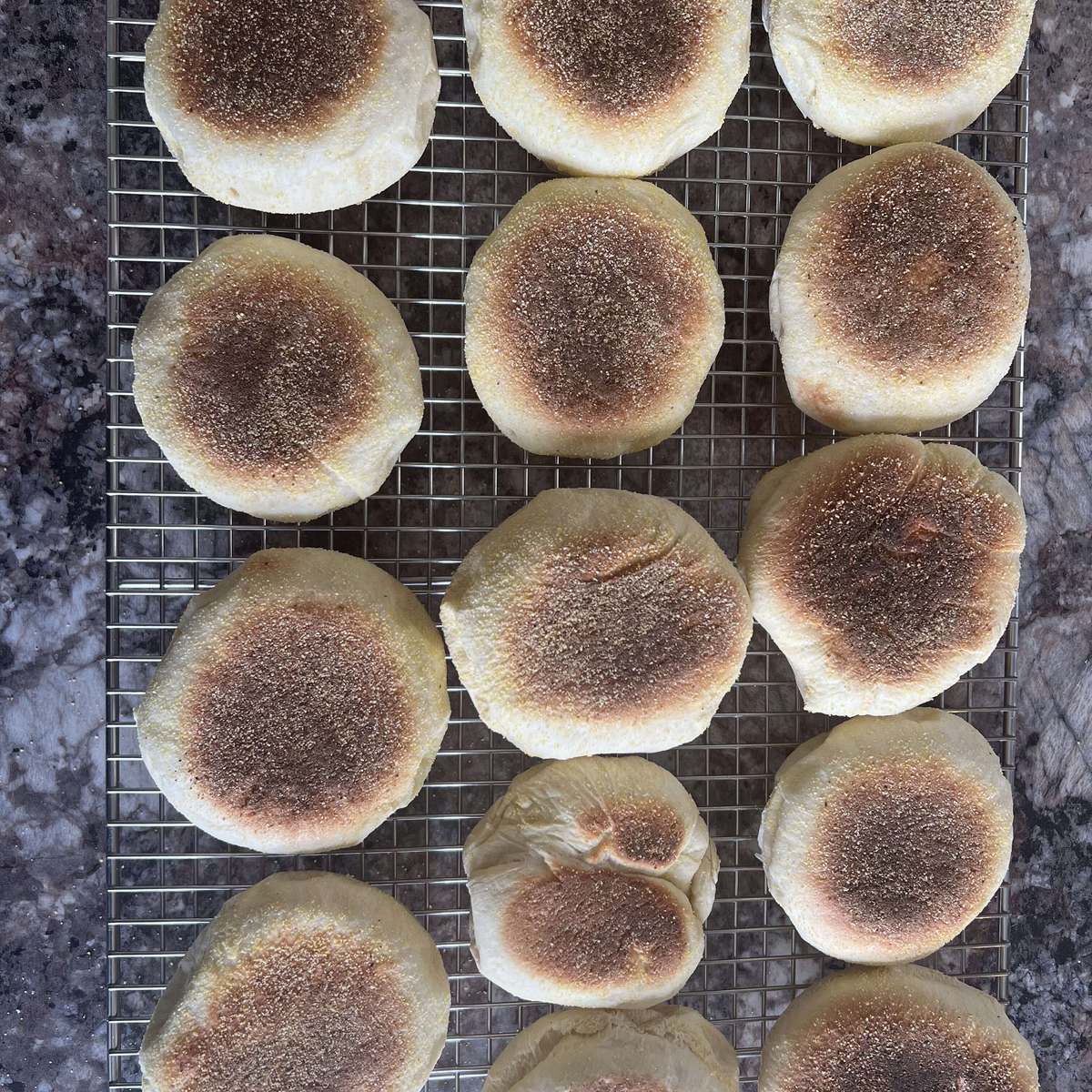 Homemade English Muffins Recipe