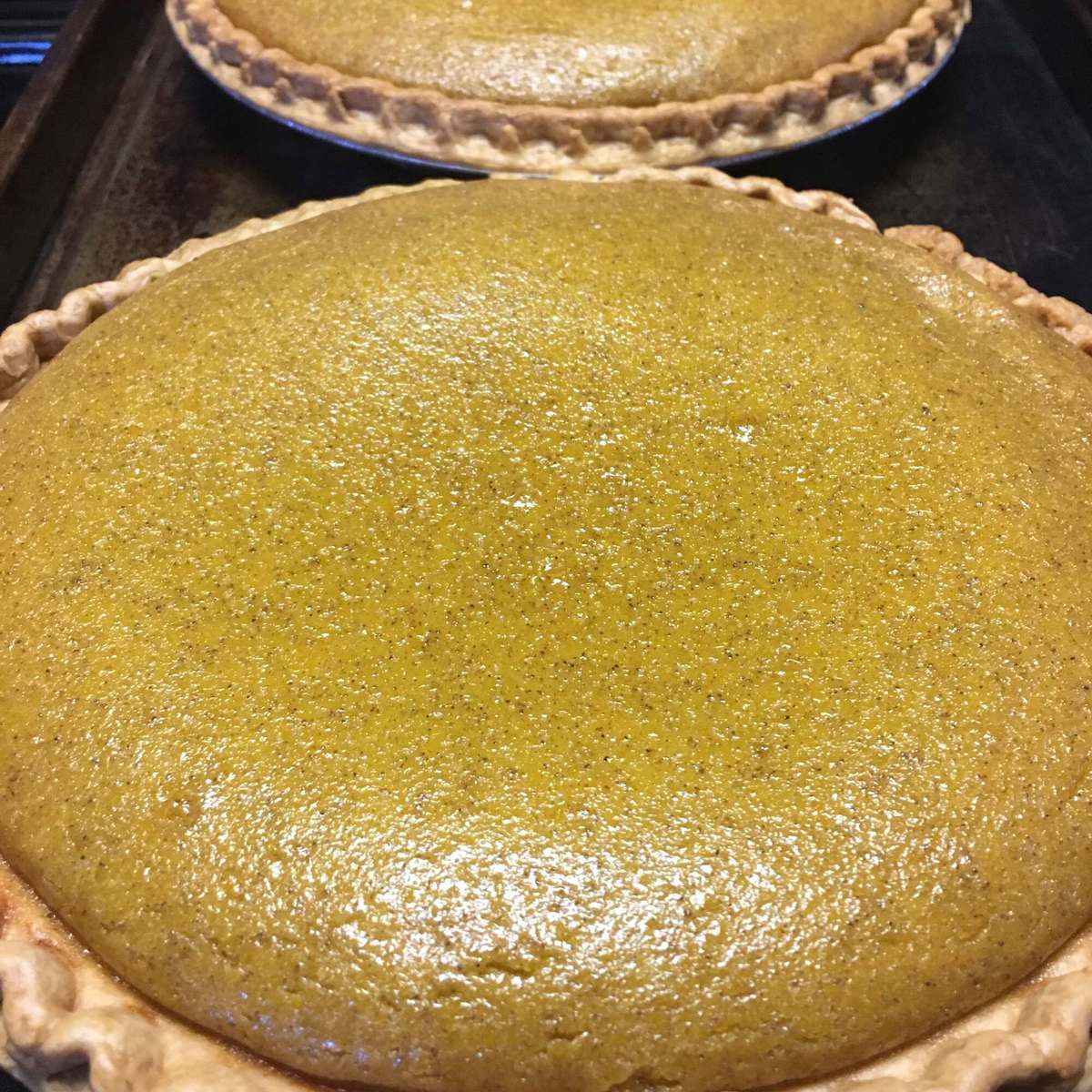 Sweet Hubbard Squash Custard Pie Recipe