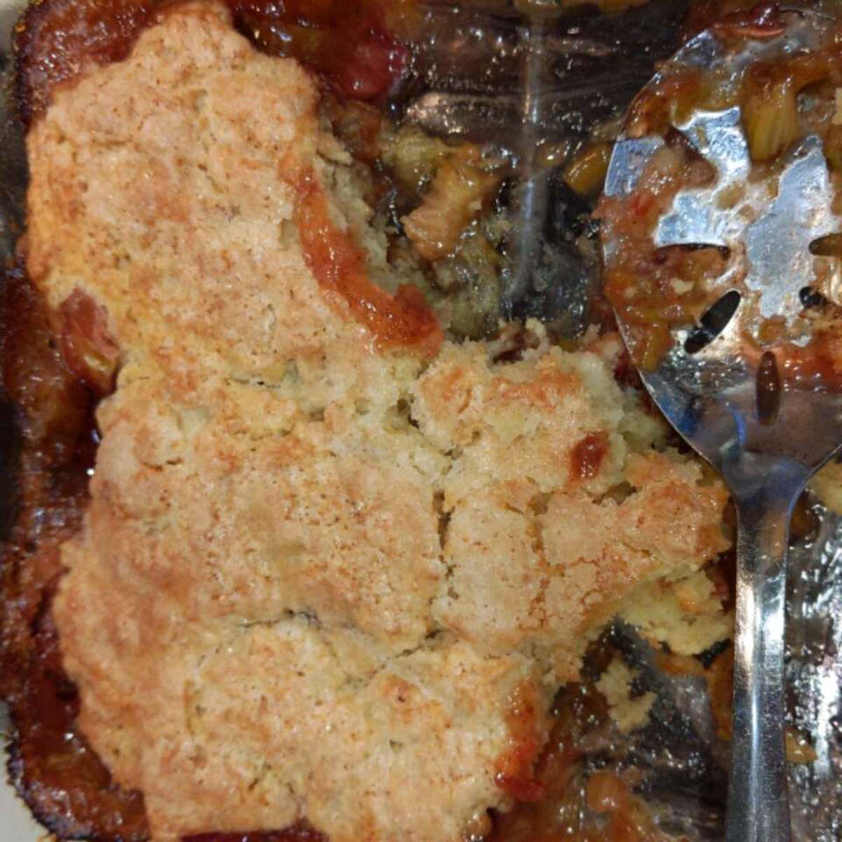 Easy Rhubarb Cobbler Recipe