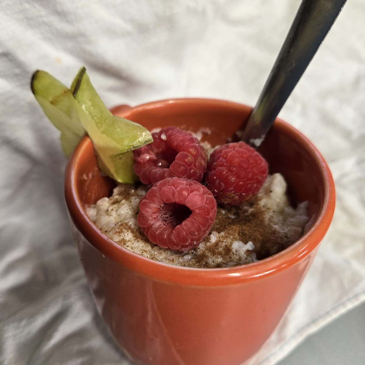 Easy Slow Cooker Rice Pudding Recipe