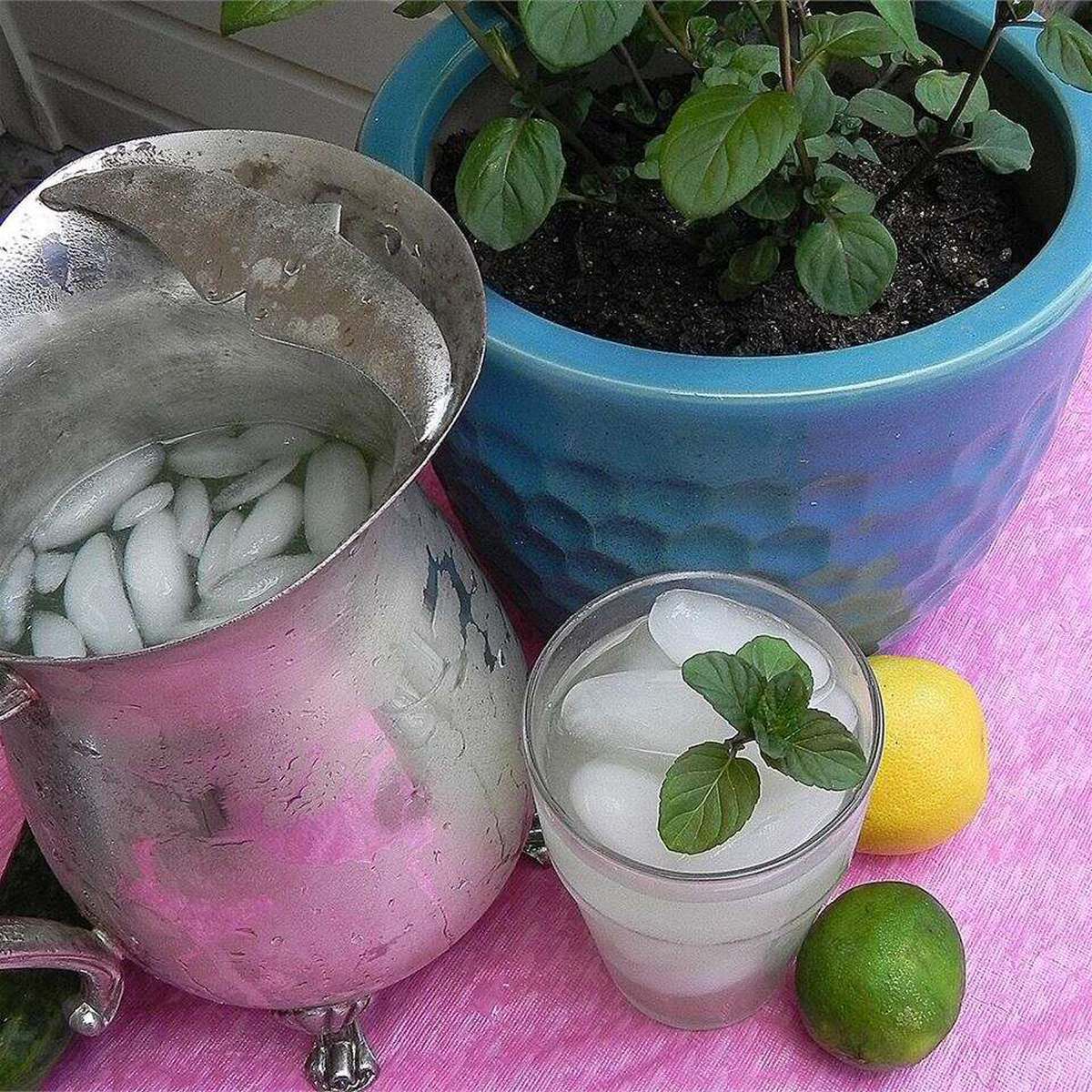 Easy Cucumber Lemonade Recipe: Refreshing Summer Drink
