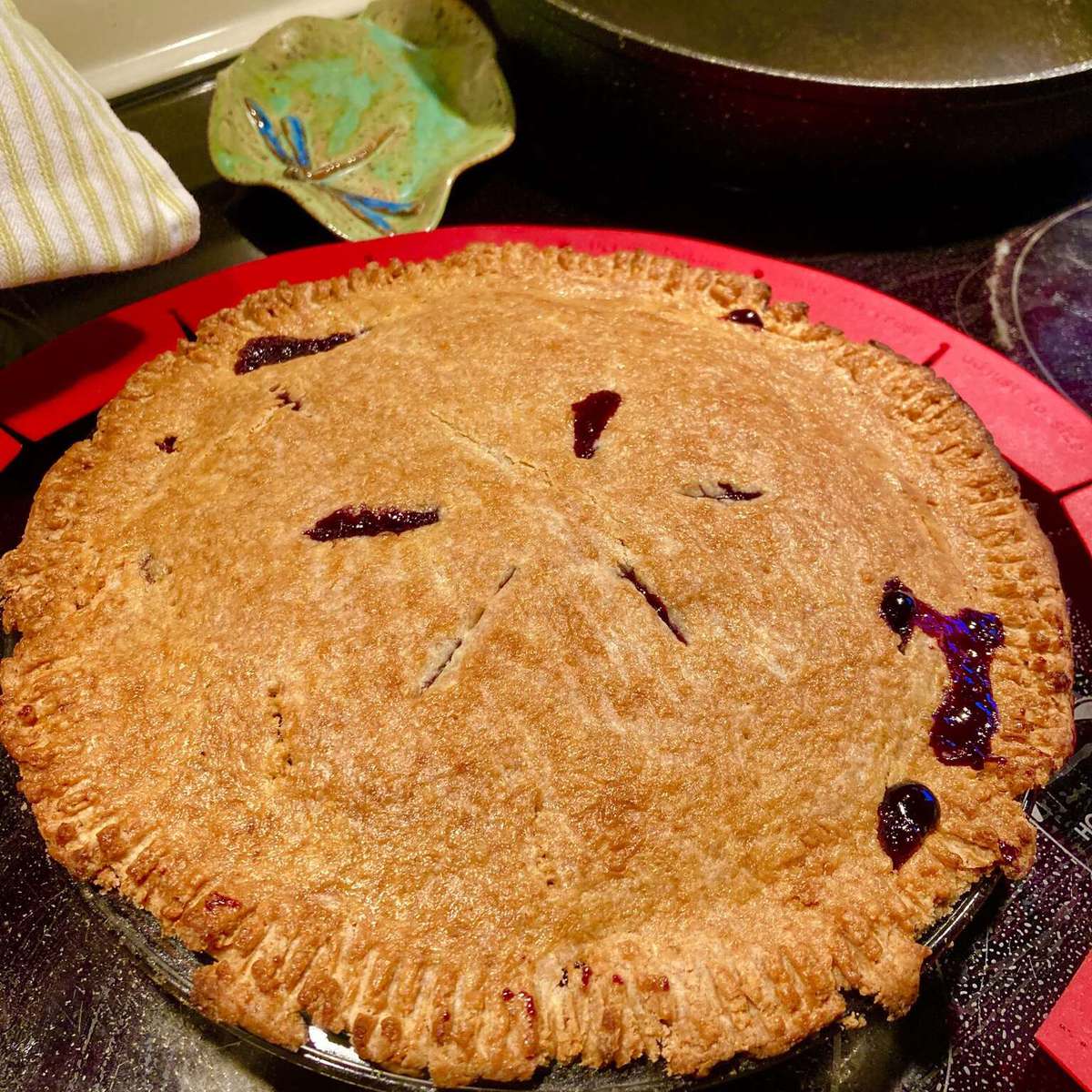 Delicious Saskatoon Berry Pie Recipe