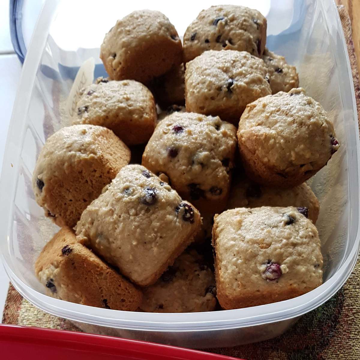 Saskatoon Berry Oat Muffins: A Delicious & Healthy Recipe
