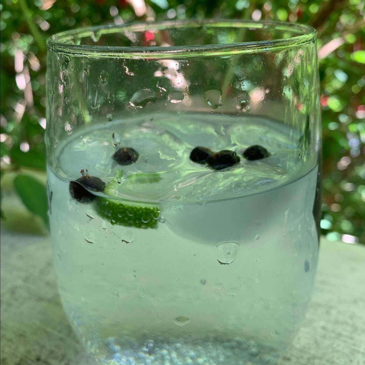 Juniper Lime Gin and Tonic: A Refreshing Cocktail Recipe