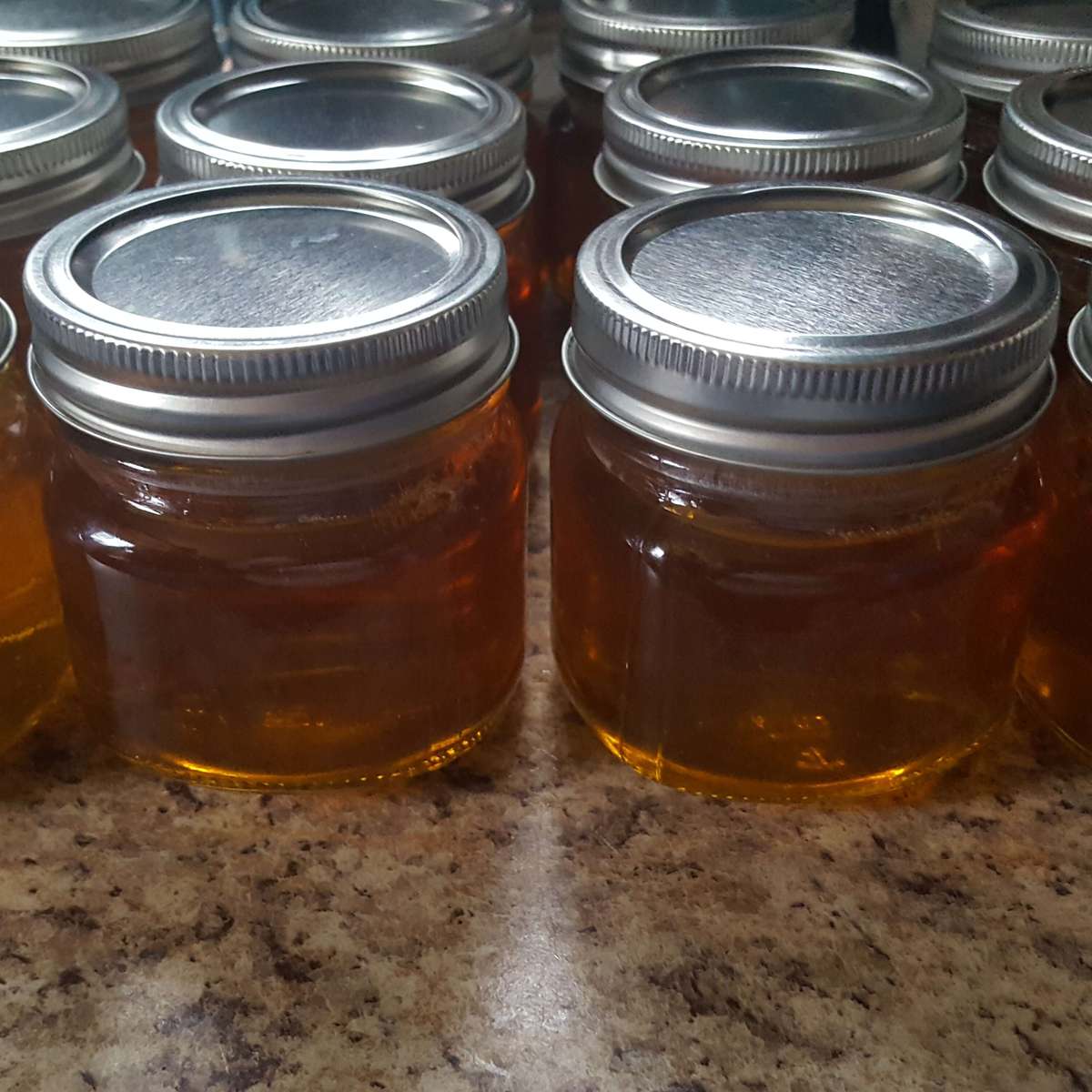 Dandelion Jelly Recipe: A Sweet Taste of Spring