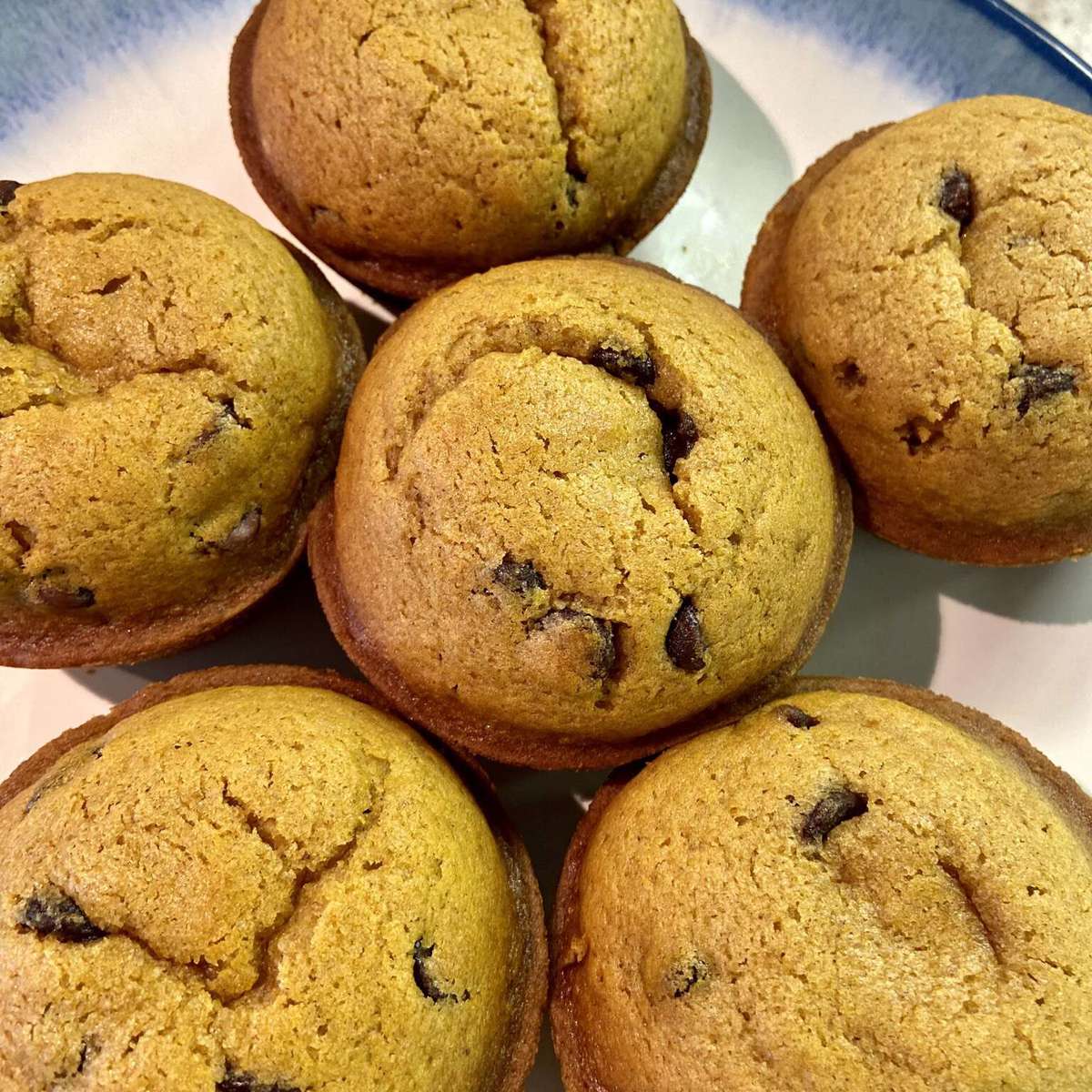 Easy Pumpkin Chocolate Chip Muffins Recipe