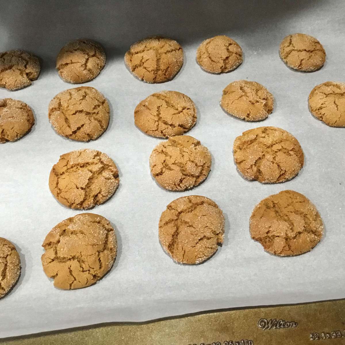Easy Ginger Snaps Recipe