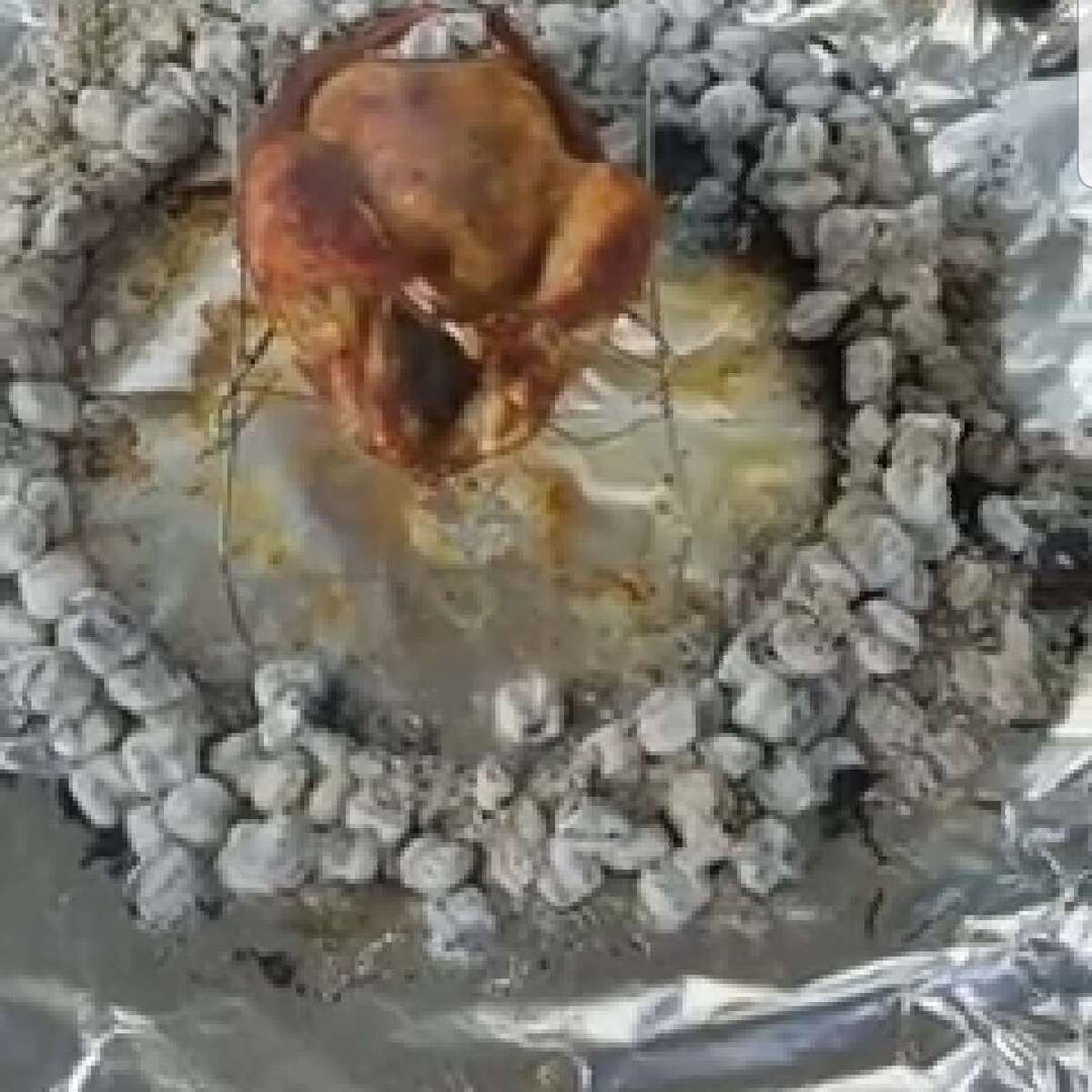 Garbage Can Turkey Recipe: A Unique Thanksgiving Feast