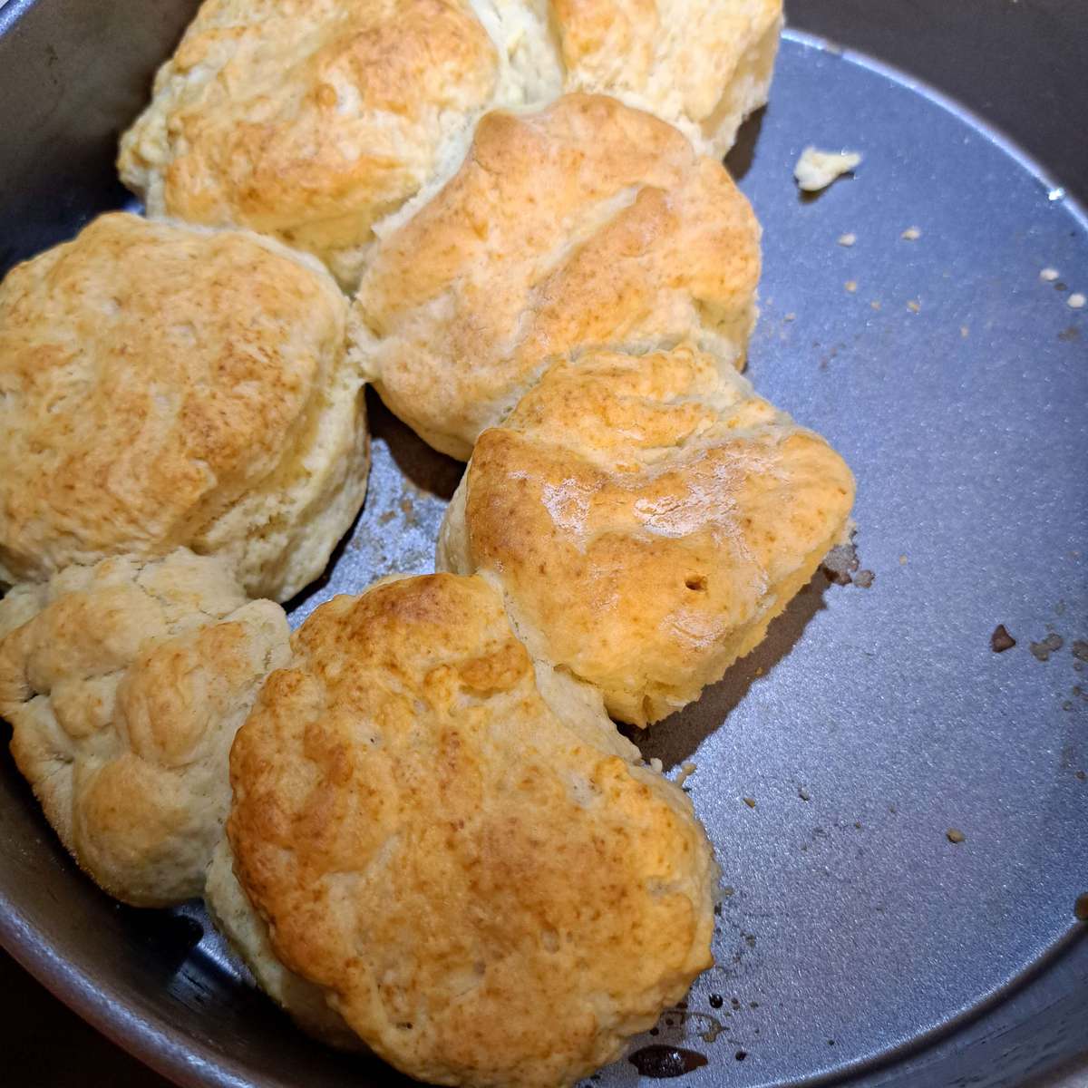 Easy Homemade Biscuits Recipe