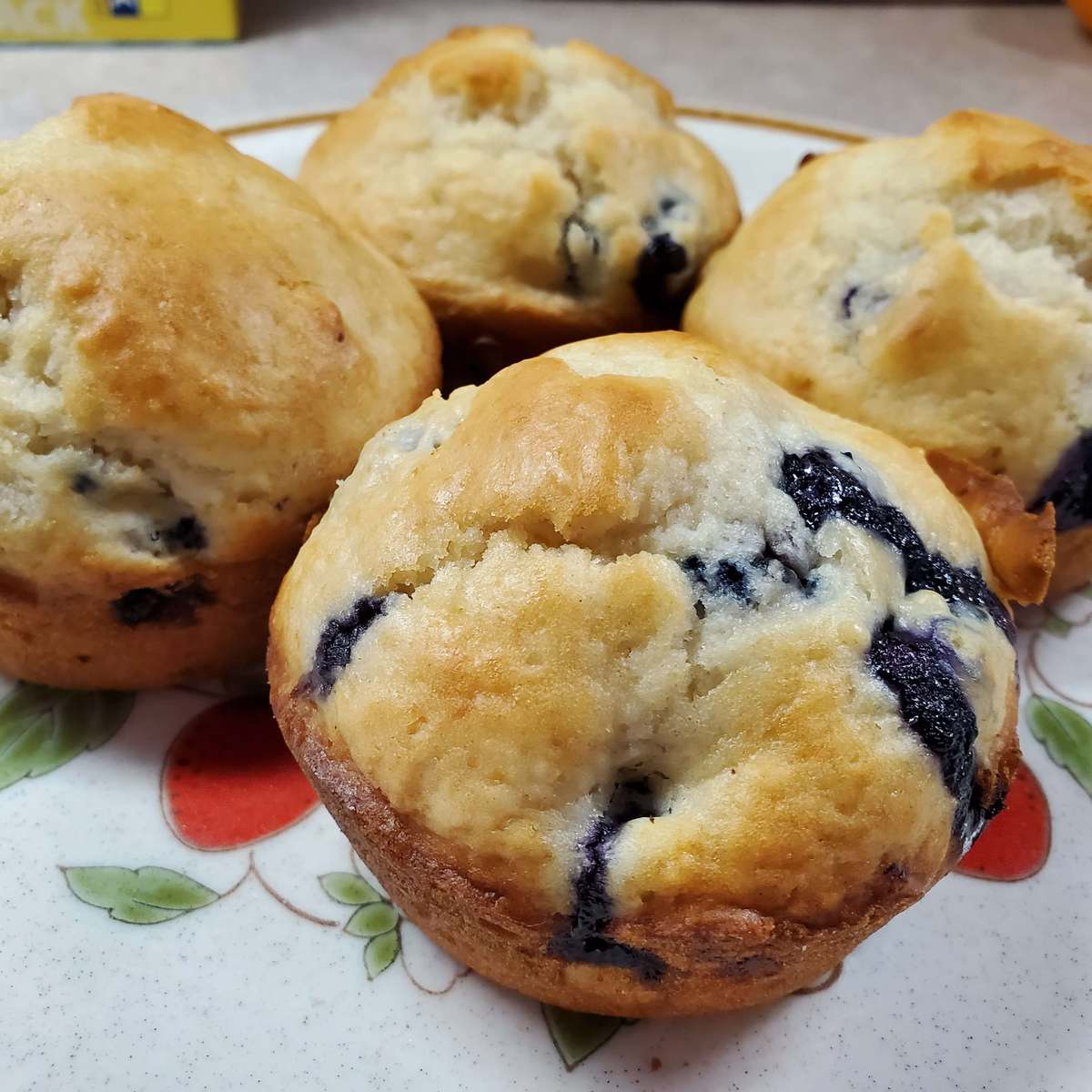 Healthy & Delicious Low-Cholesterol Blueberry Muffins Recipe