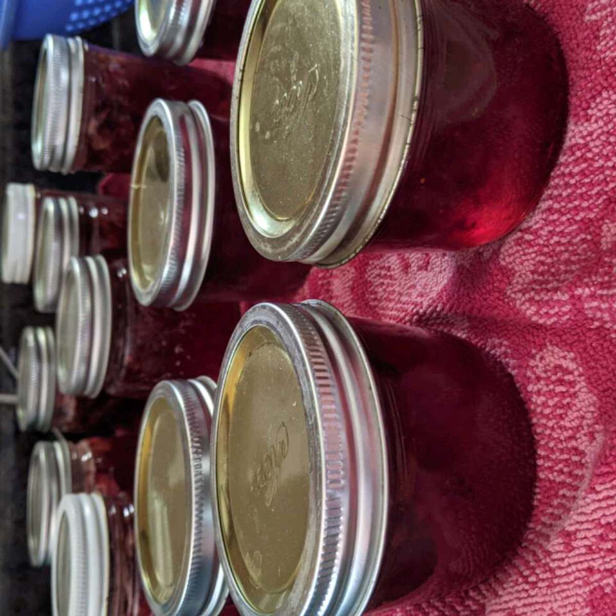Homemade Strawberry Rhubarb Jam Recipe