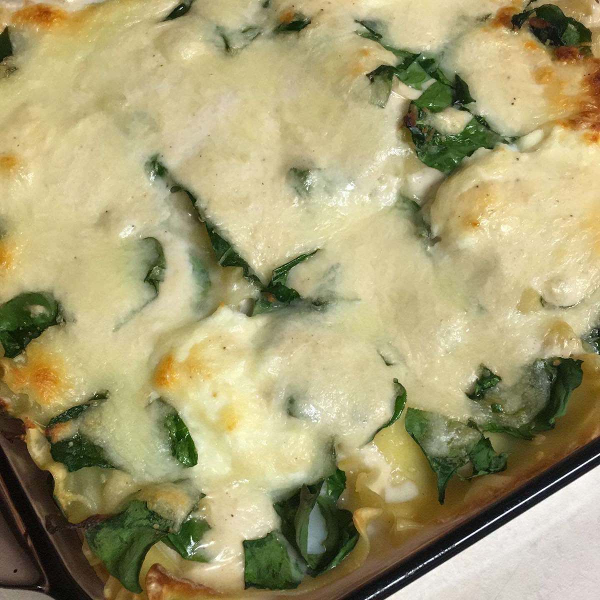 Chicken Alfredo Lasagna Recipe