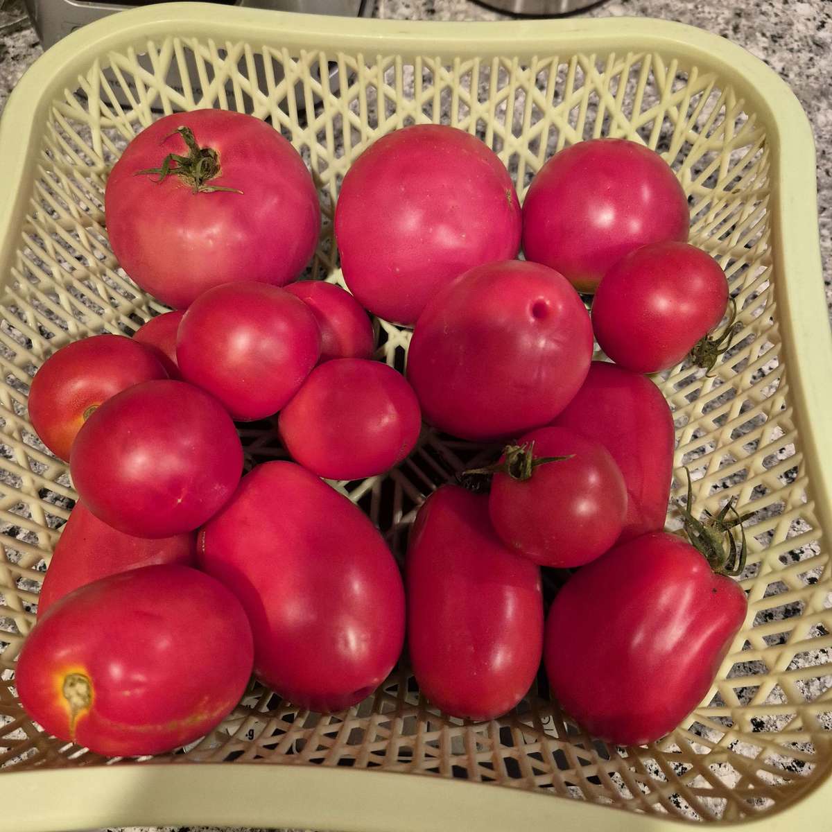 Easy Homemade Fresh Tomato Marinara Sauce Recipe