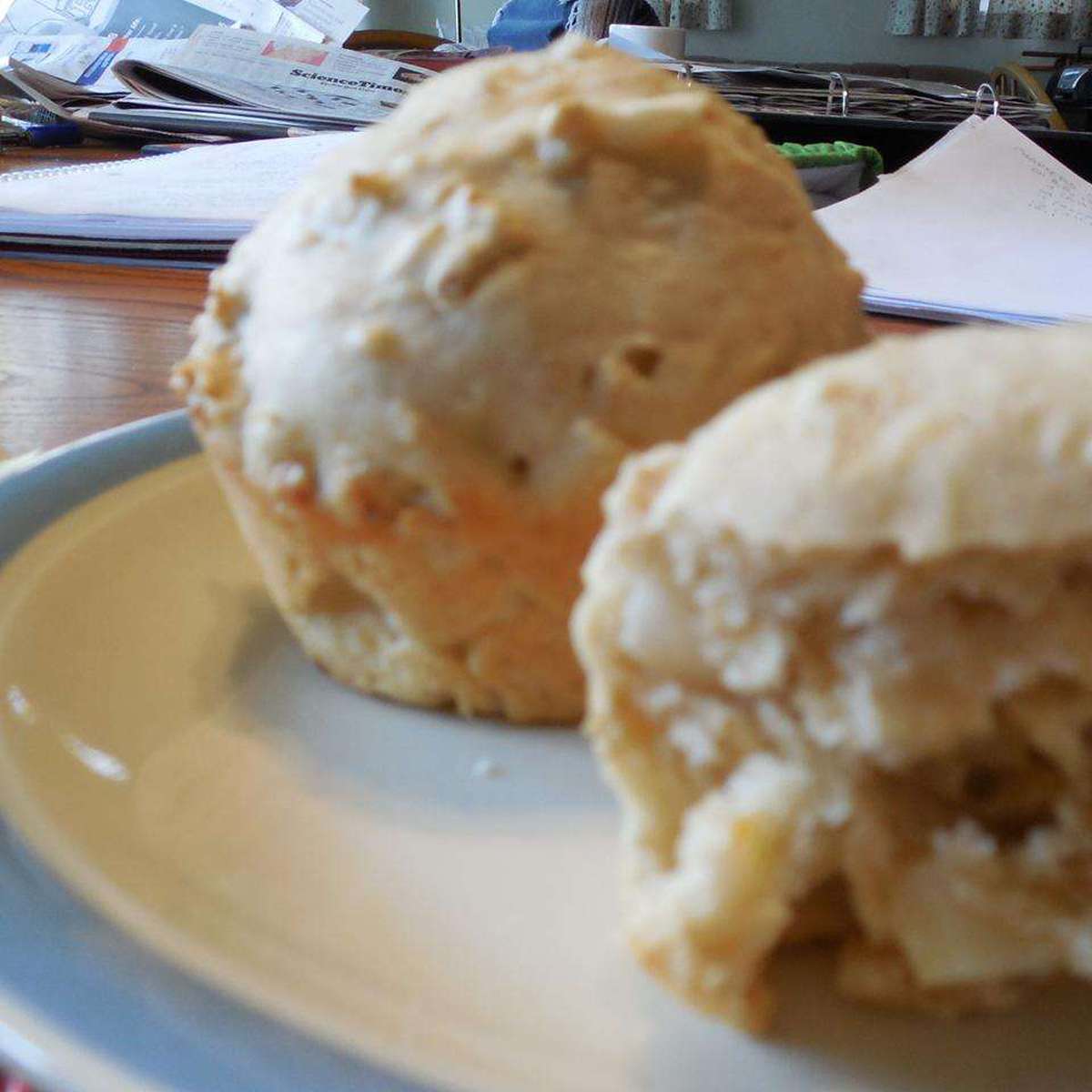 Healthy Low-Fat Apple Spice Muffins Recipe