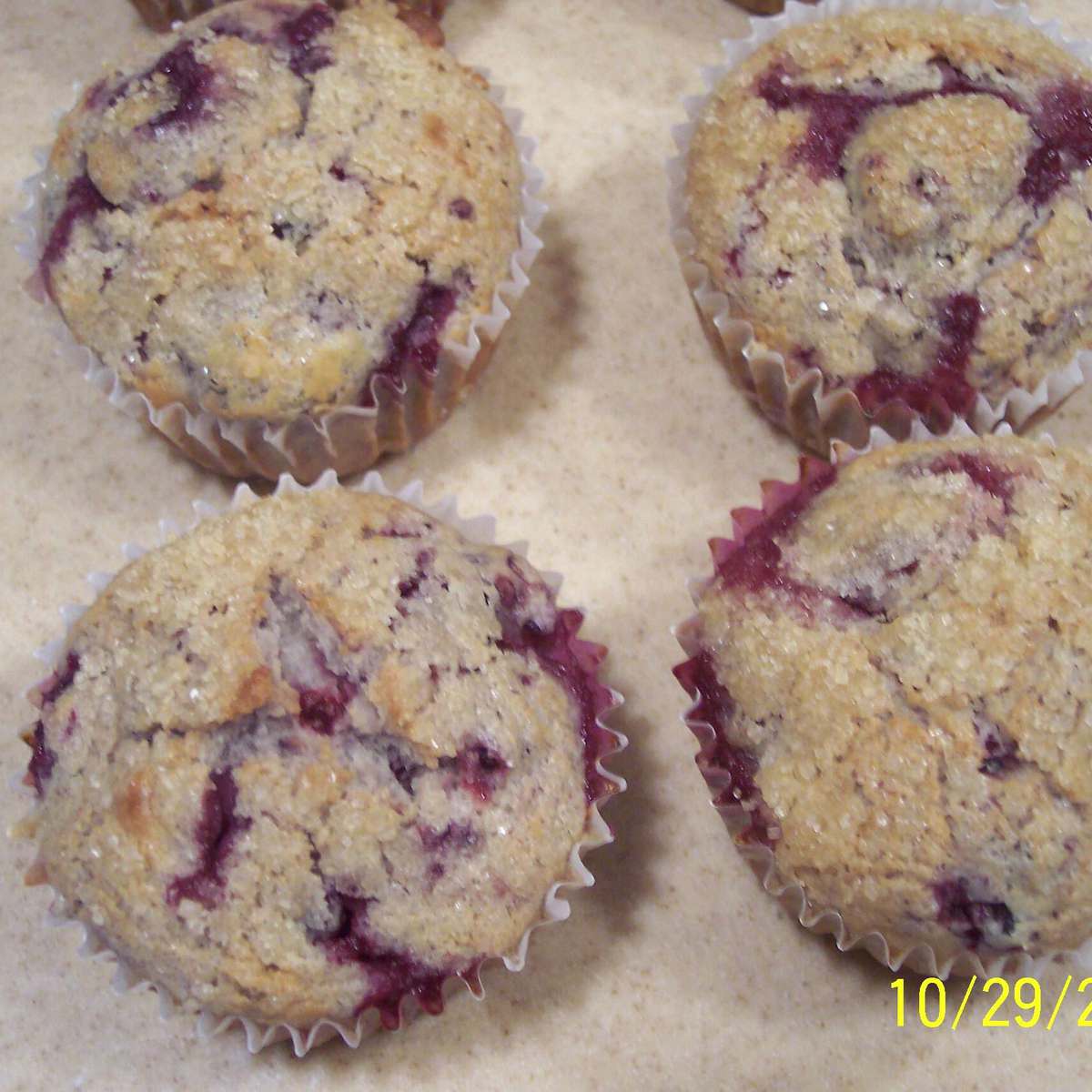 Easy Wild Blackberry Muffins Recipe