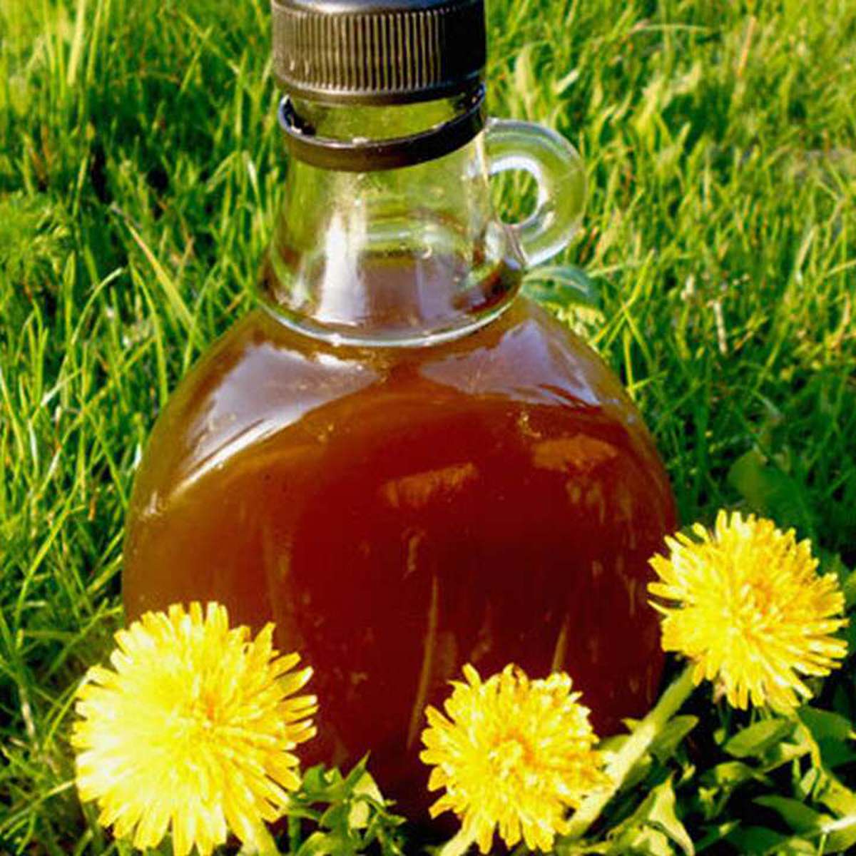 Homemade Dandelion Syrup Recipe: A Vegan Honey Substitute