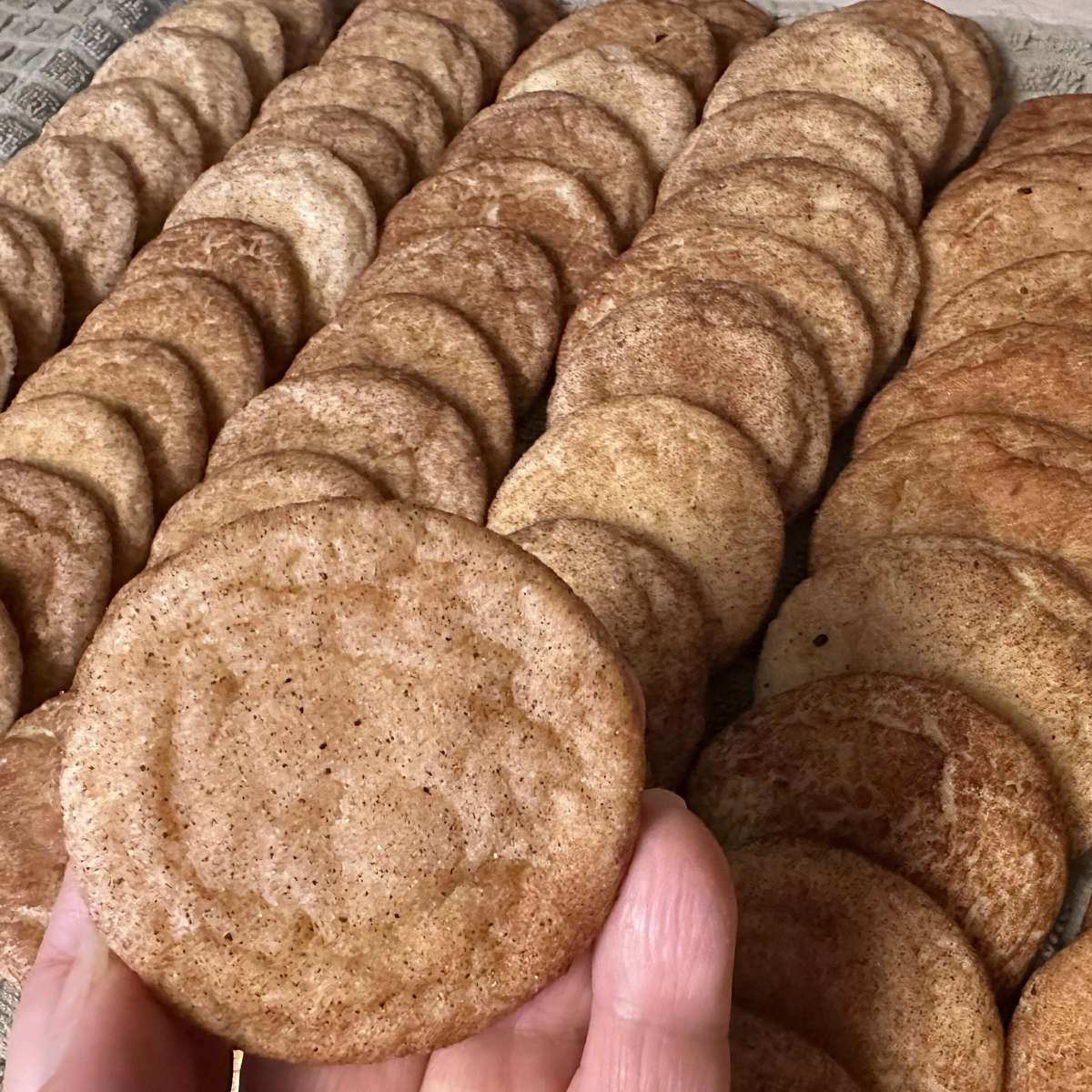 Easy Snickerdoodle Cookie Recipe: Just Like Grandma's!