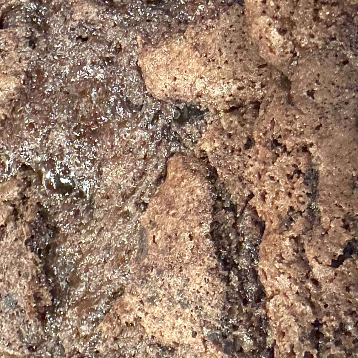 Easy Chocolate Cobbler Recipe