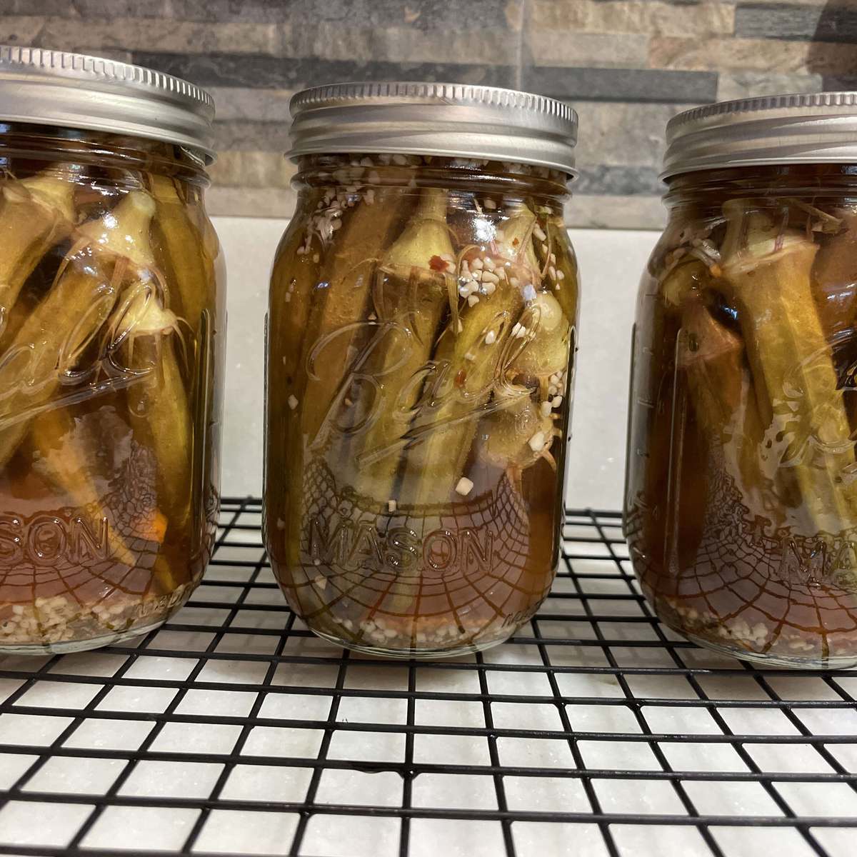 Grandma Oma's Famous Pickled Okra Recipe