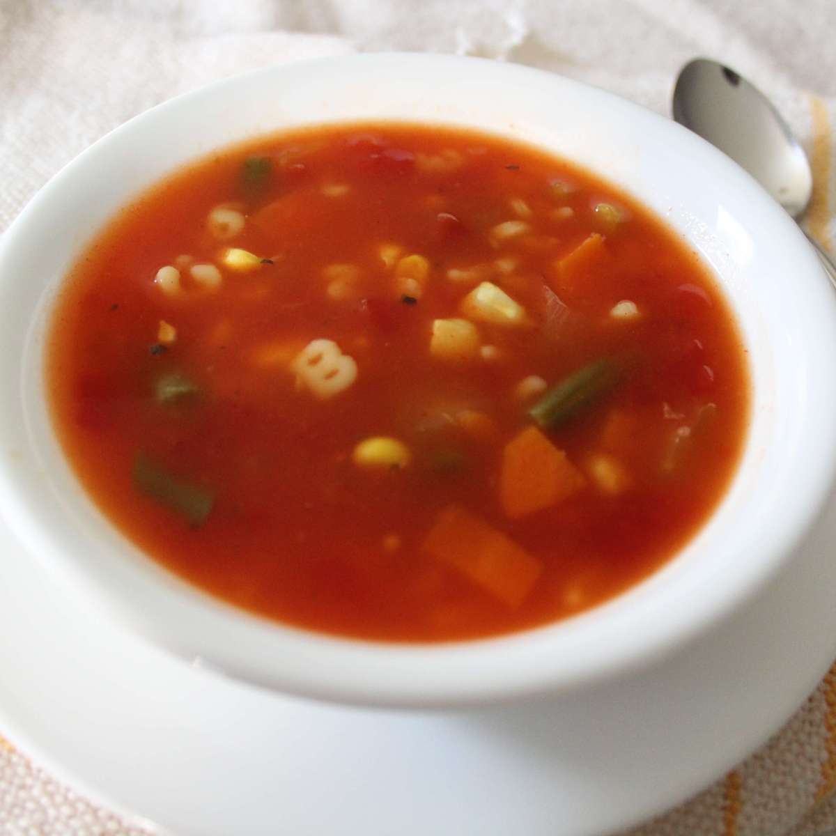 Quick & Easy Tomato Vegetable Soup Recipe