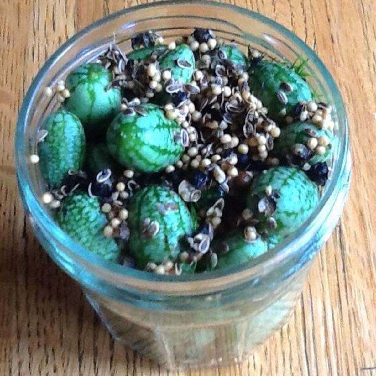 Cucamelon Pickles: A Refreshing & Unique Recipe