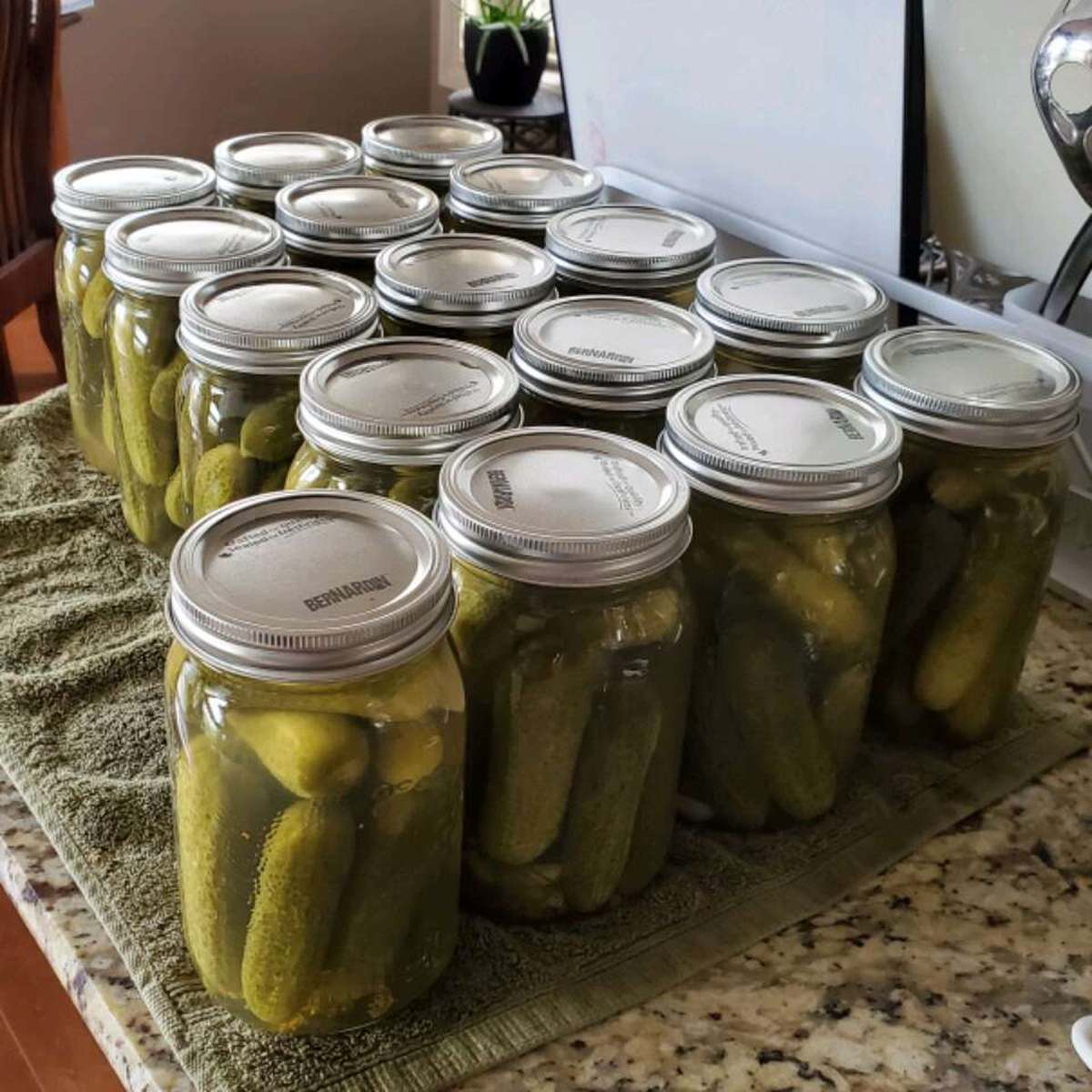 Pop's Famous Dill Pickle Recipe