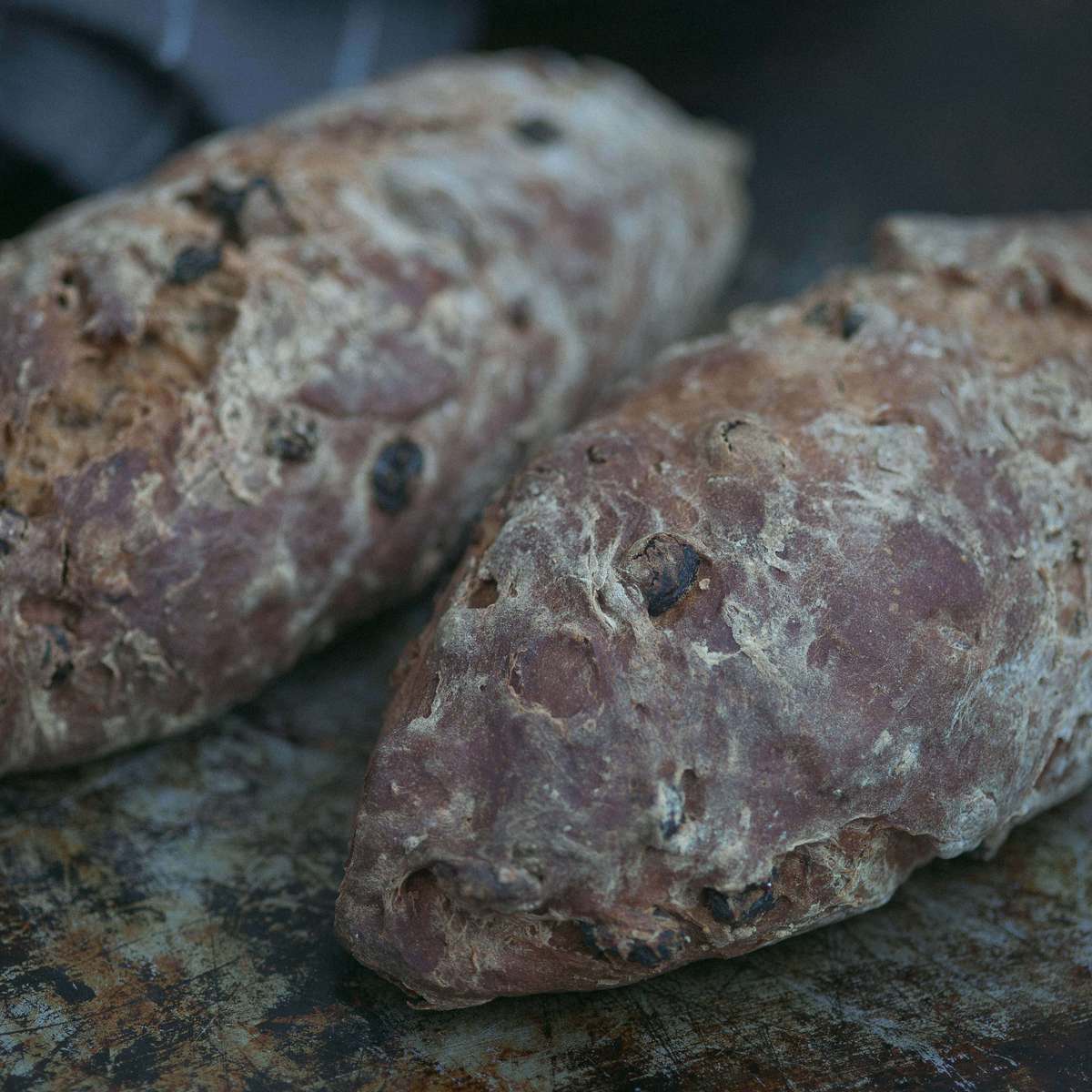 Authentic German Schnitzbrot Recipe (Christmas Bread)