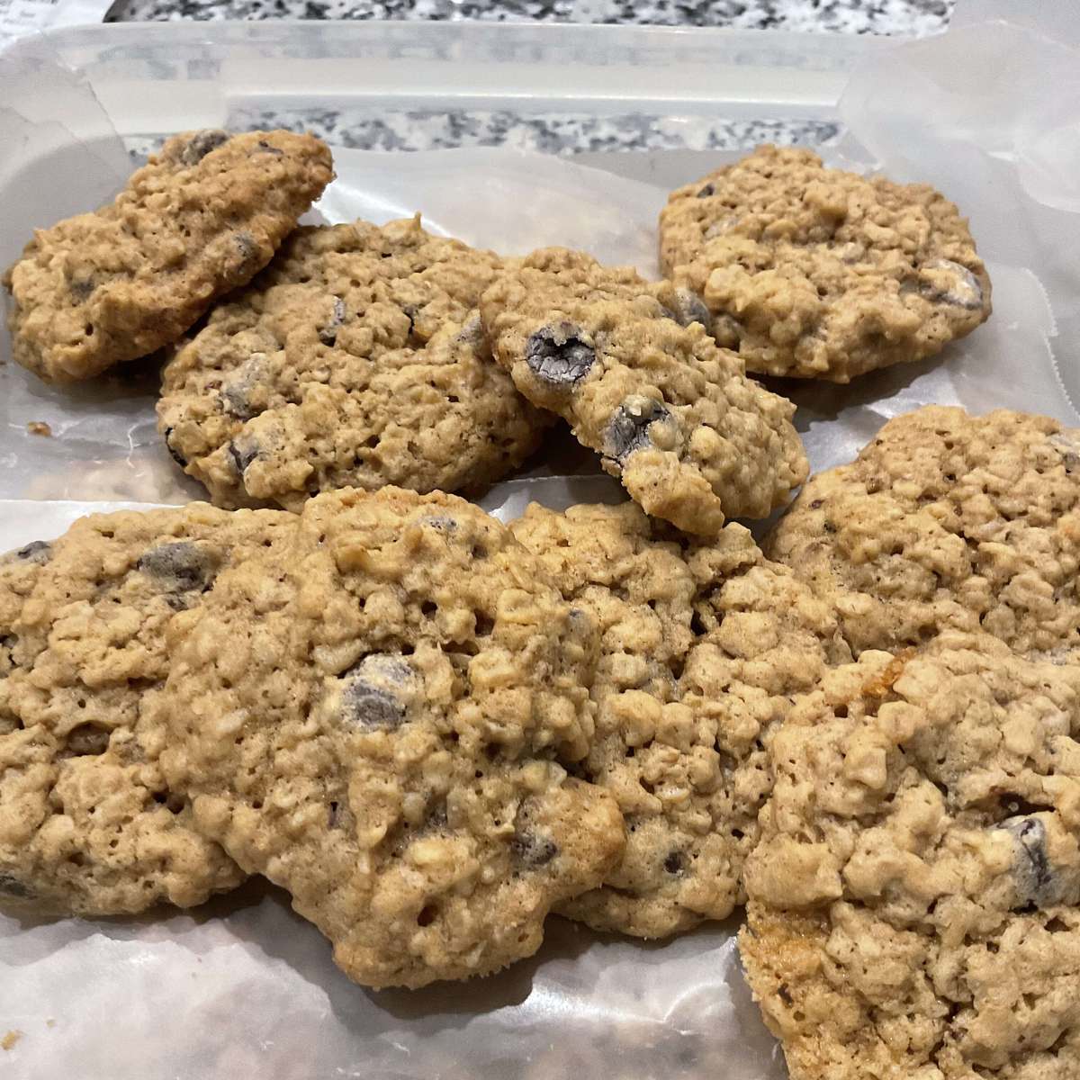Chewy Chocolate Chip Oatmeal Cookies Recipe