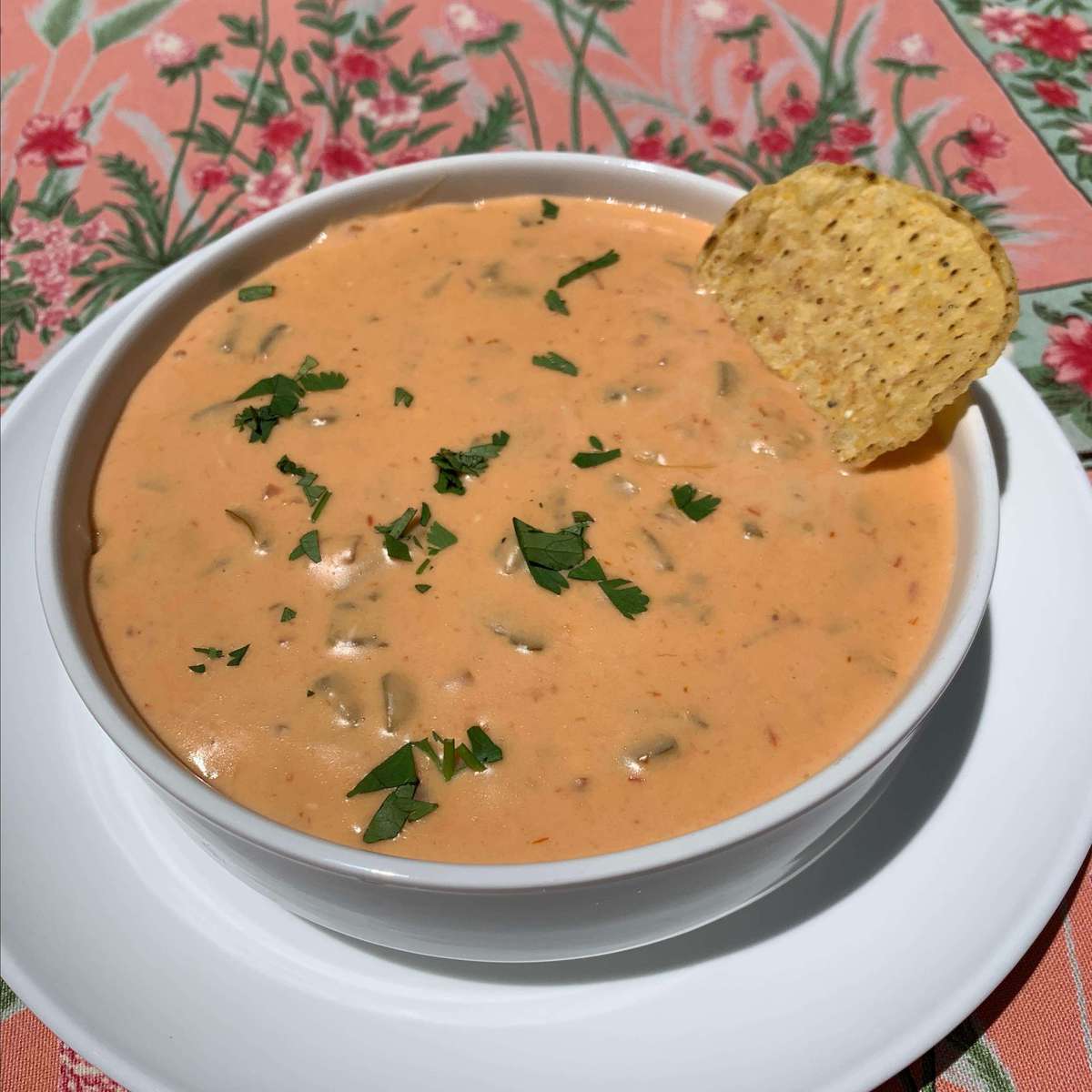 Easy Warm Chili Cheese Dip Recipe for Game Day