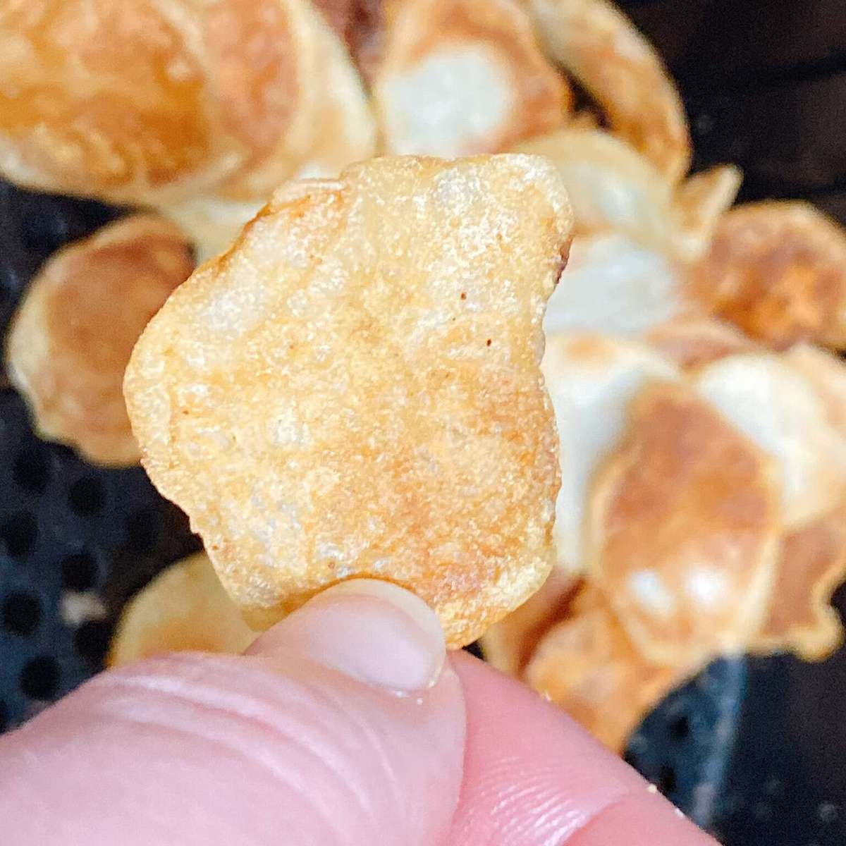 Easy Air Fryer Potato Chips Recipe