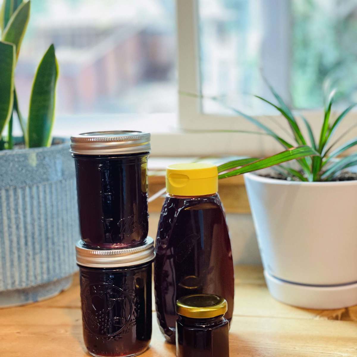 Homemade Elderberry Syrup Recipe for Immune Support