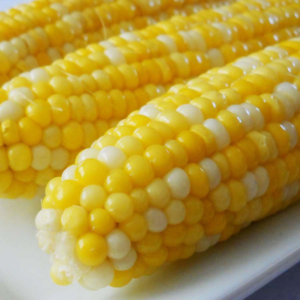 Easy Microwave Corn on the Cob Recipe (In Husk!)