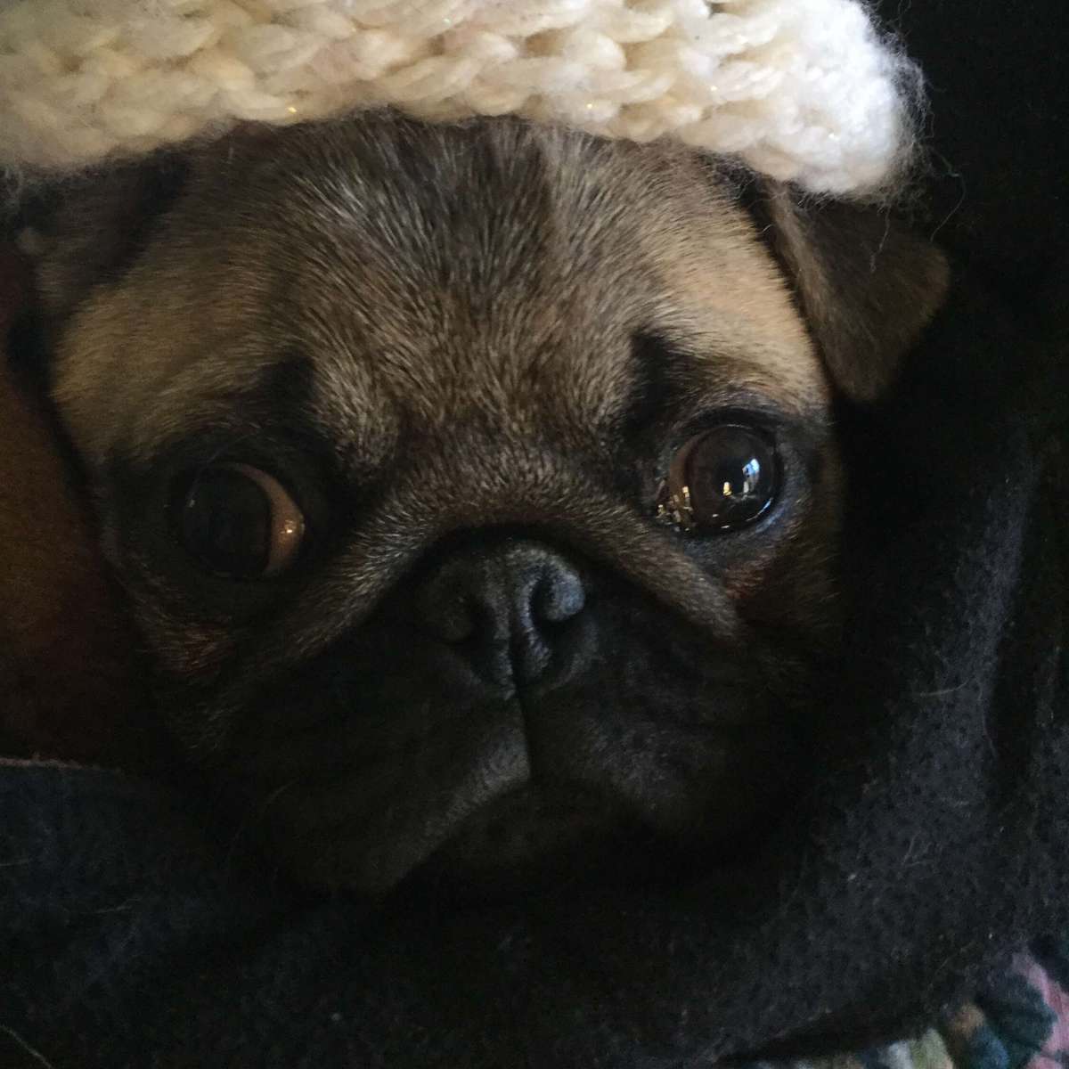 Easy Overnight Chia Oats Recipe