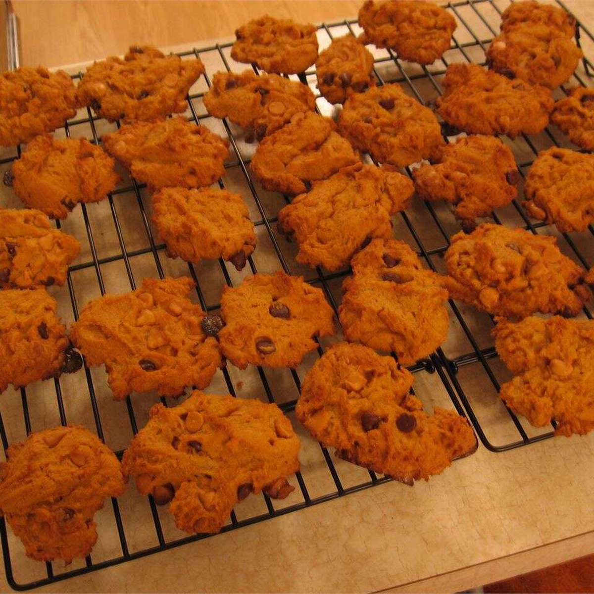 Egg-Free Chocolate Chip Pumpkin Cookies Recipe