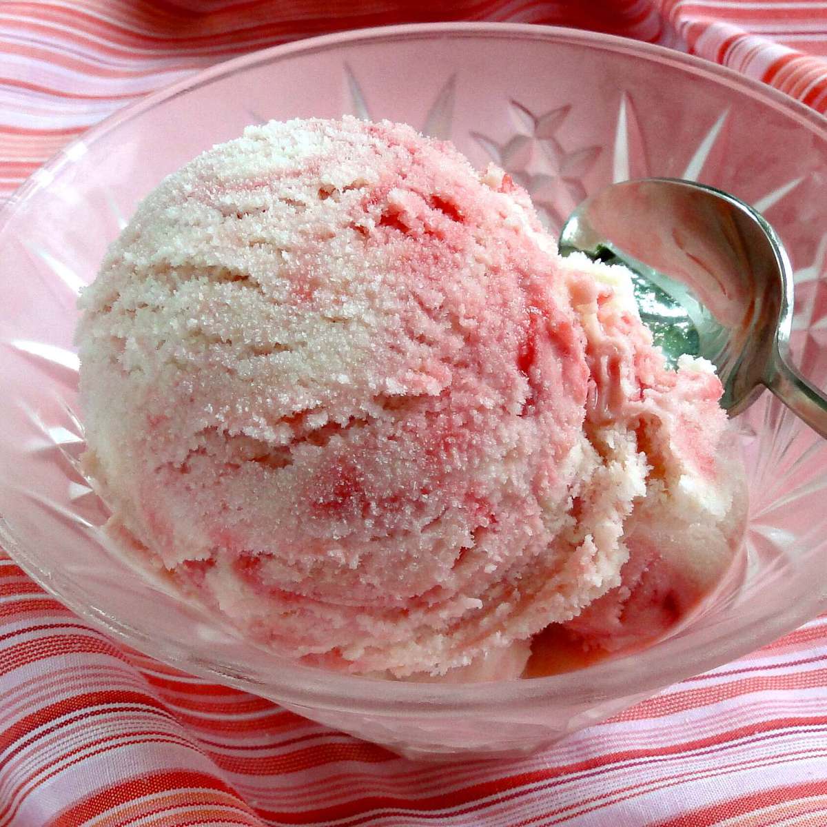 Raspberry Swirl Vanilla Bean Ice Cream Recipe - Shorecook's Delight
